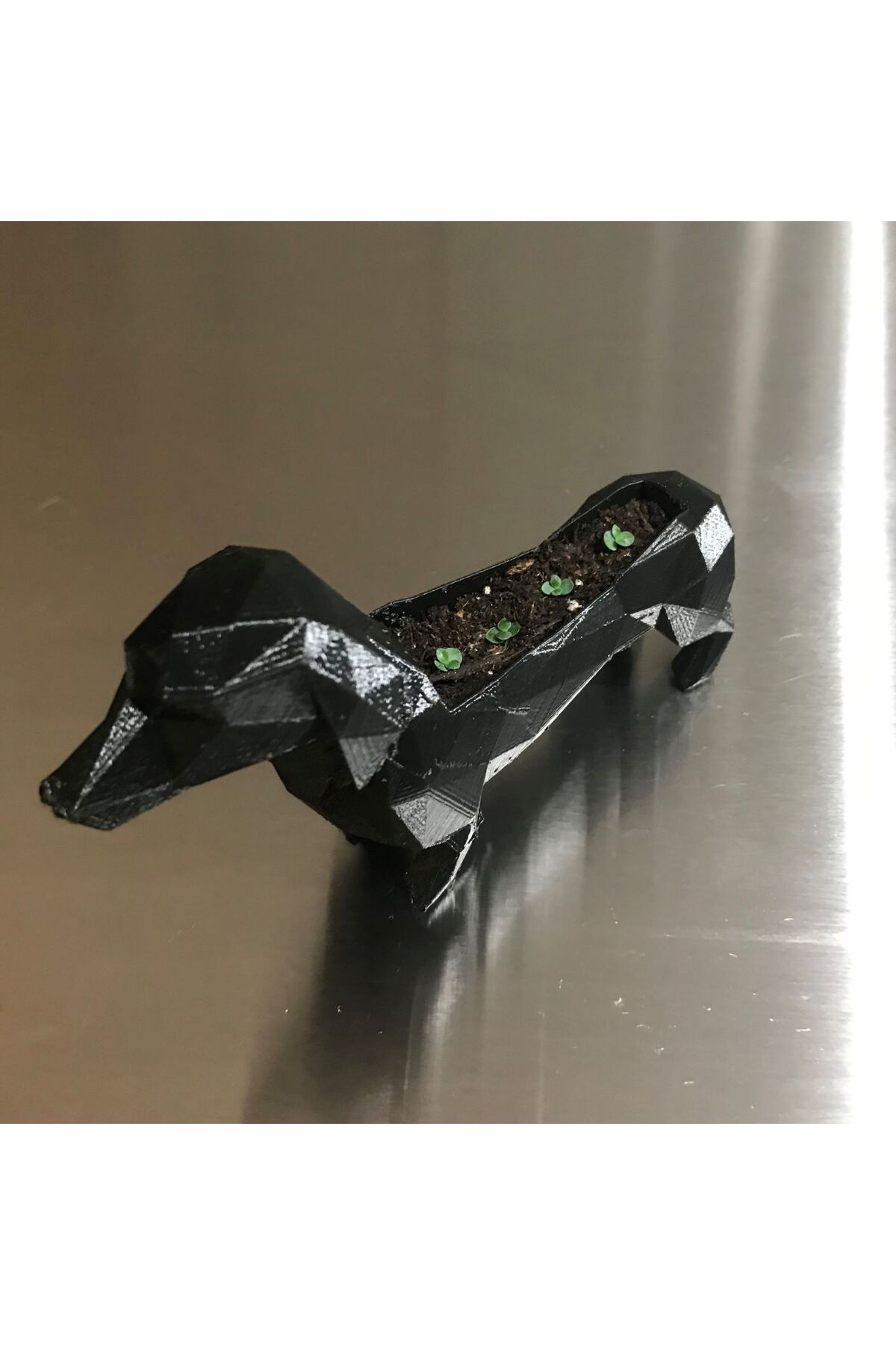 talaşoğlu Dachshund düşük poli ekici