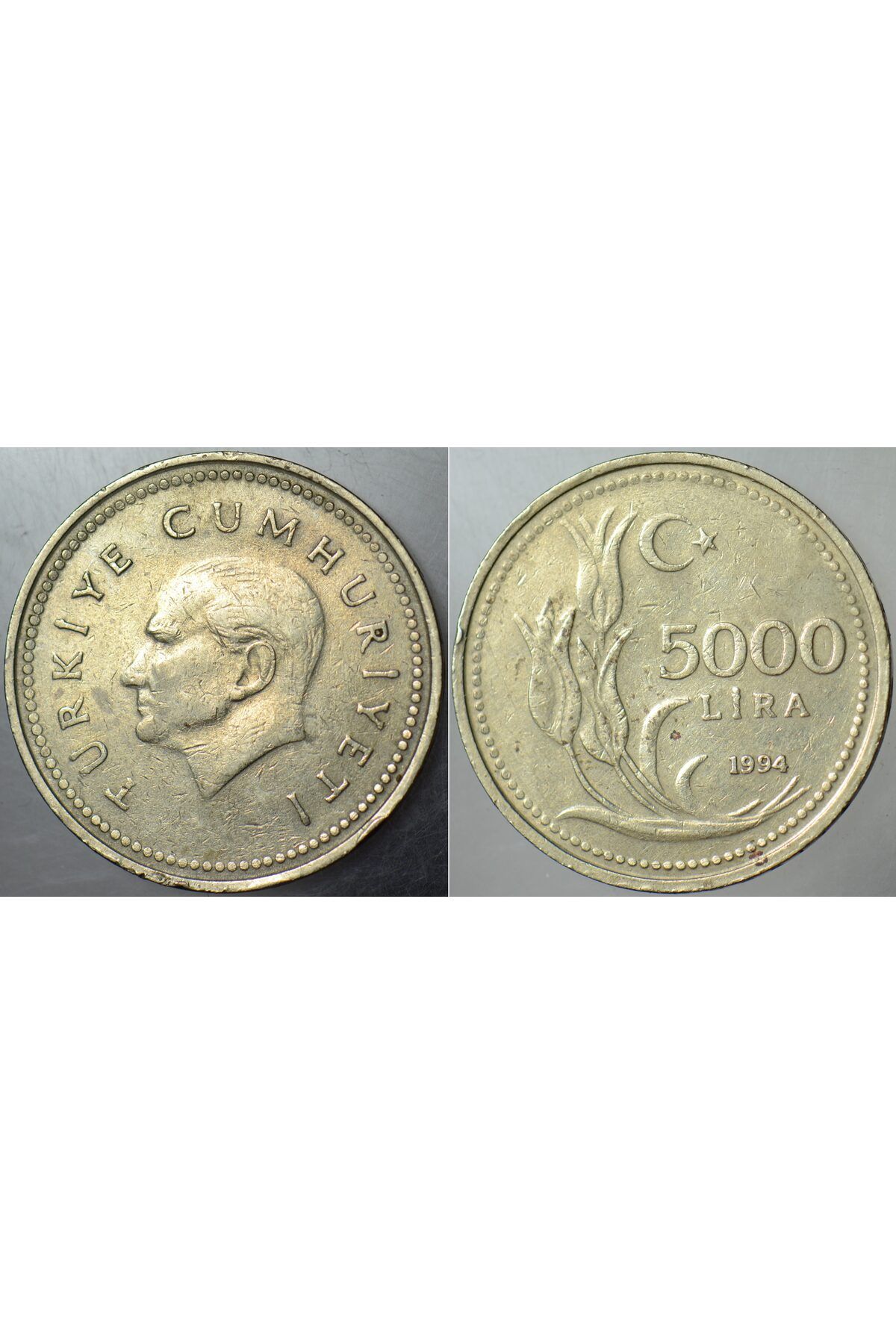 Banknoting TÜRKİYE CUMHURİYETİ 5000 LİRA 1994.
