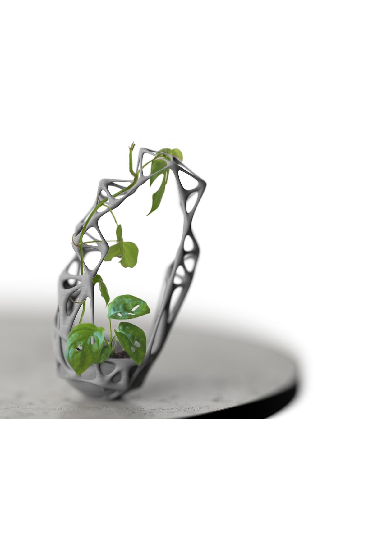 talaşoğlu Dağcılar için greenweave ekici