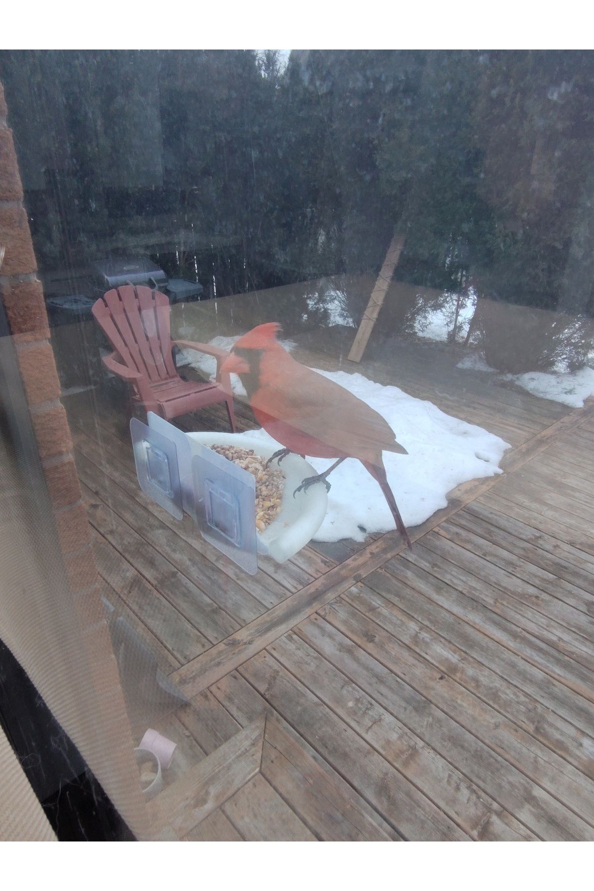 talaşoğlu Birdfeeder sabun-taban stili