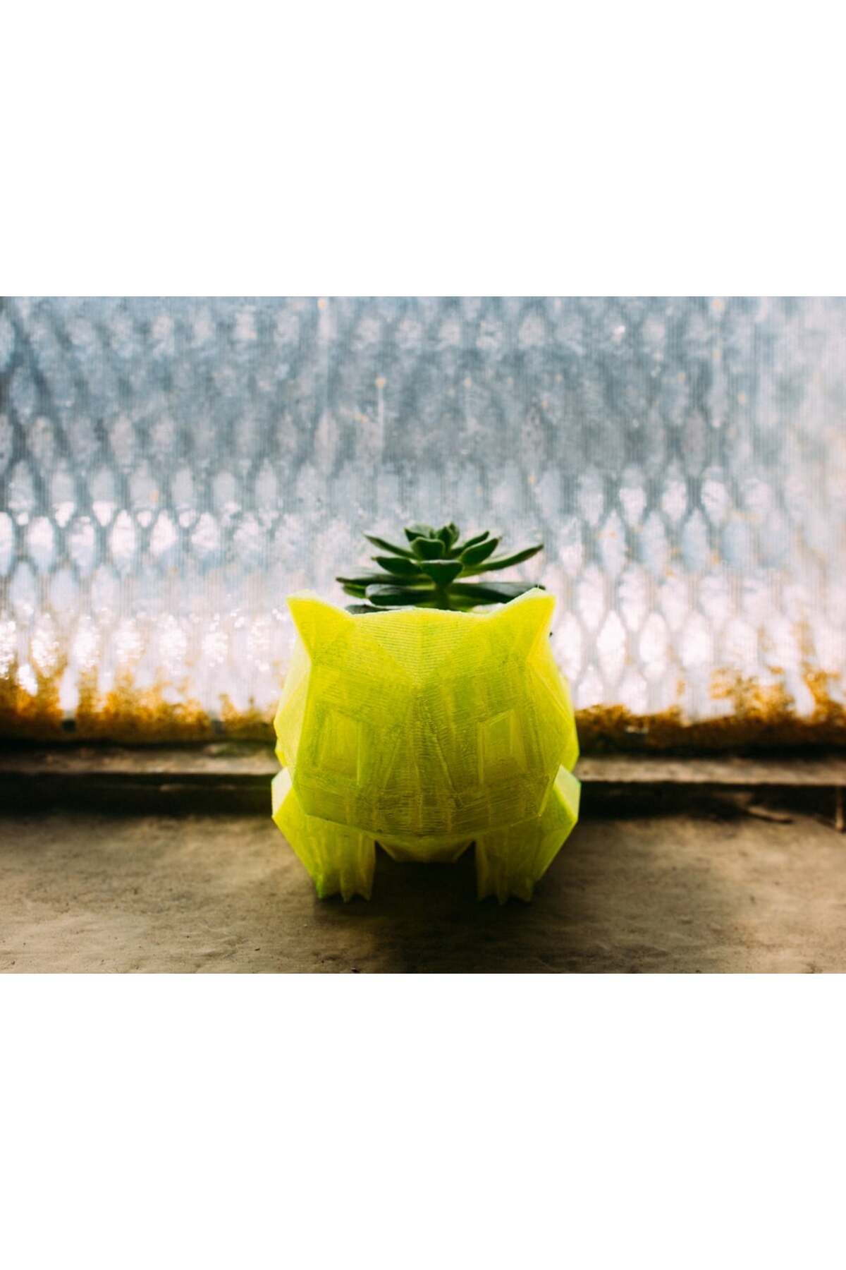 talaşoğlu Eğimli drenajlı bulbasaur ekici
