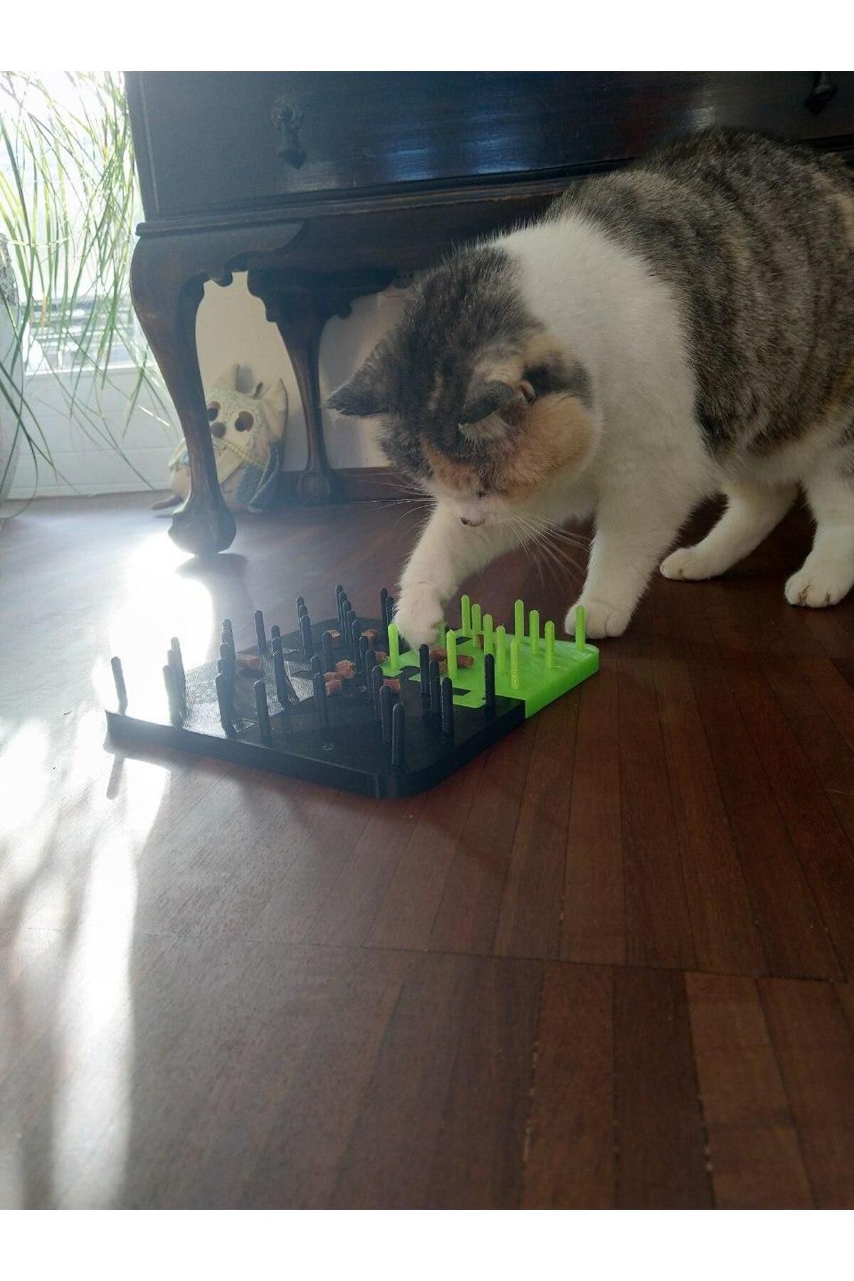 talaşoğlu Cat oyuncak oyun tahtası mandalları oyun