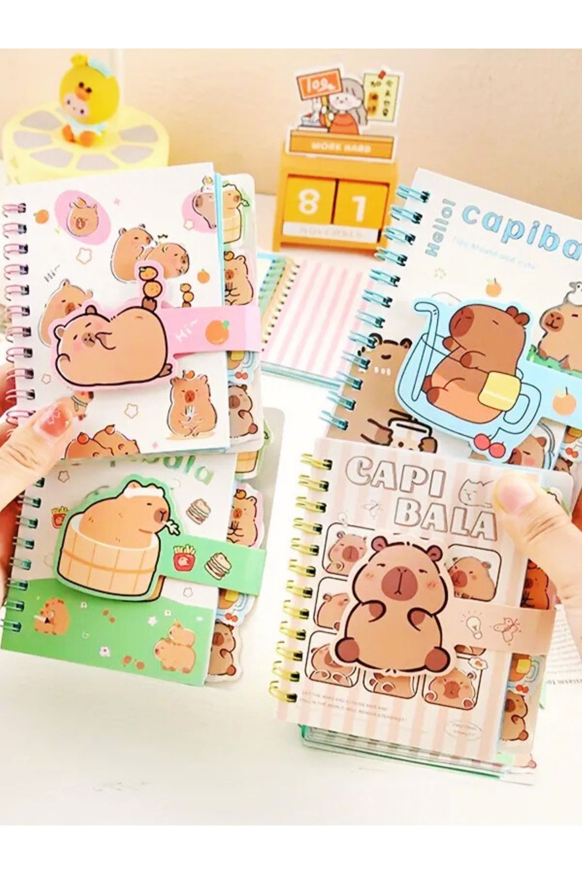 ÖZ OFİS Capybara Kapibara Spiralli Ayraçlı İçi Baskılı Çırtlı Kapak Defter 1 Adet