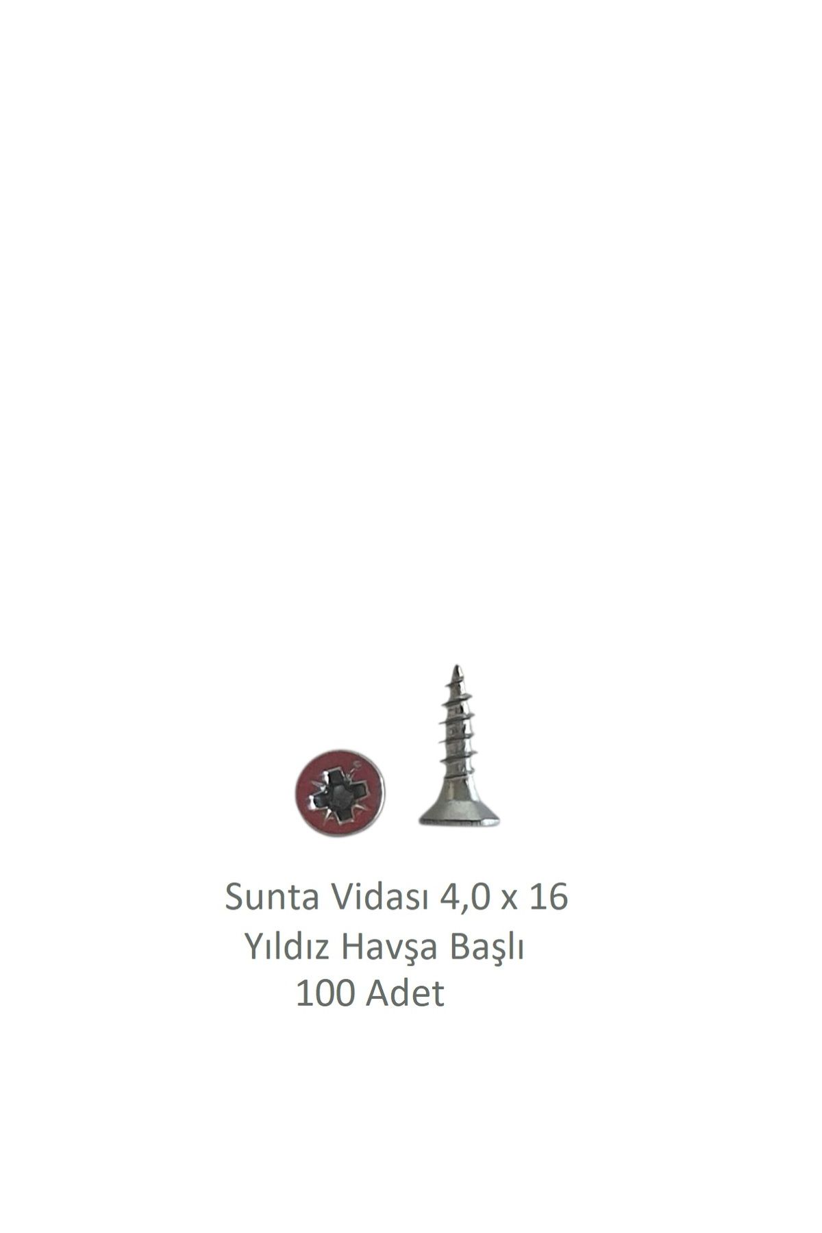 Adilon Sunta Vidası 4,0 x 16 mm 100 Adet YHB Vida