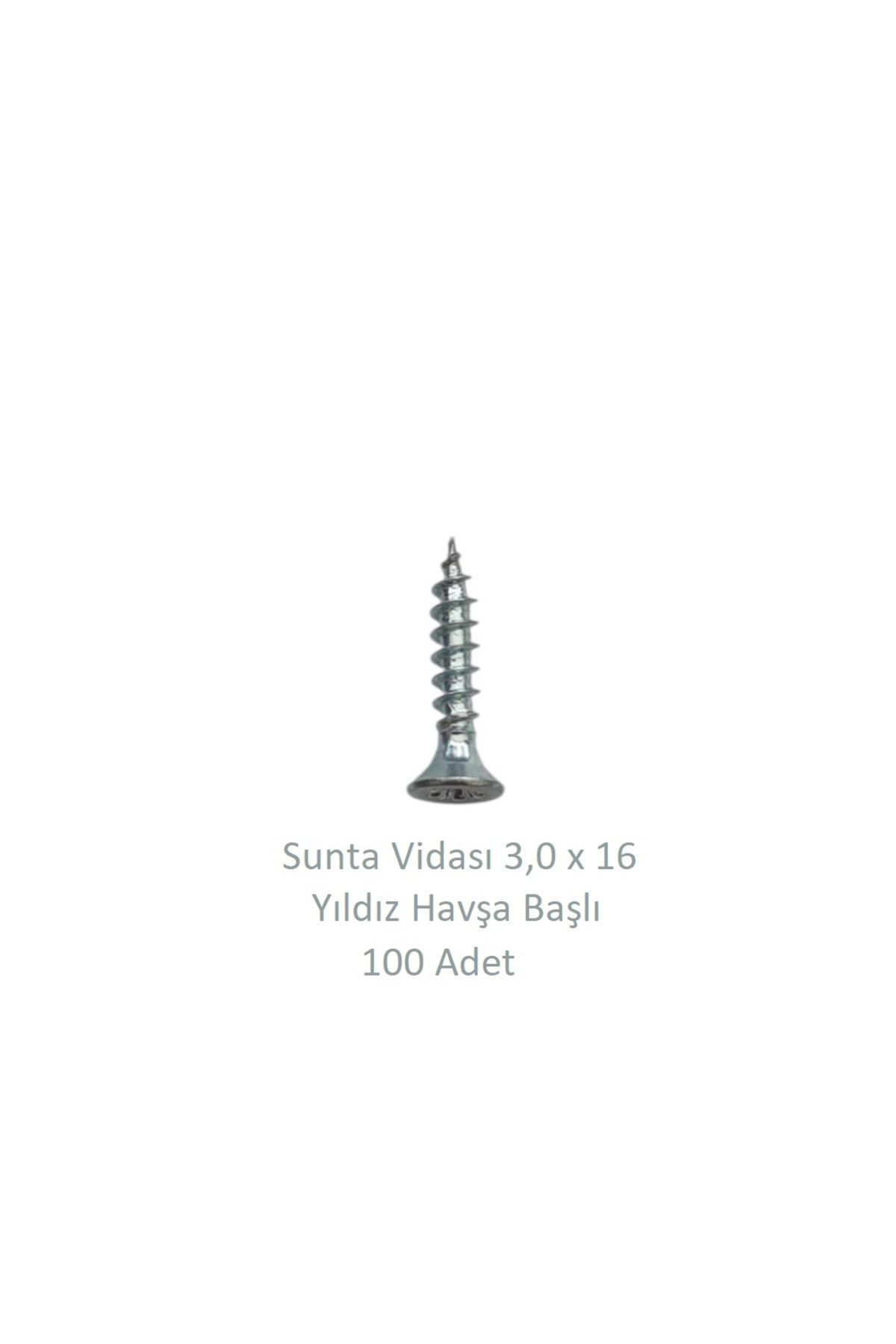 Adilon Sunta Vidası 3,0 x 16 mm 100 Adet YHB Vida