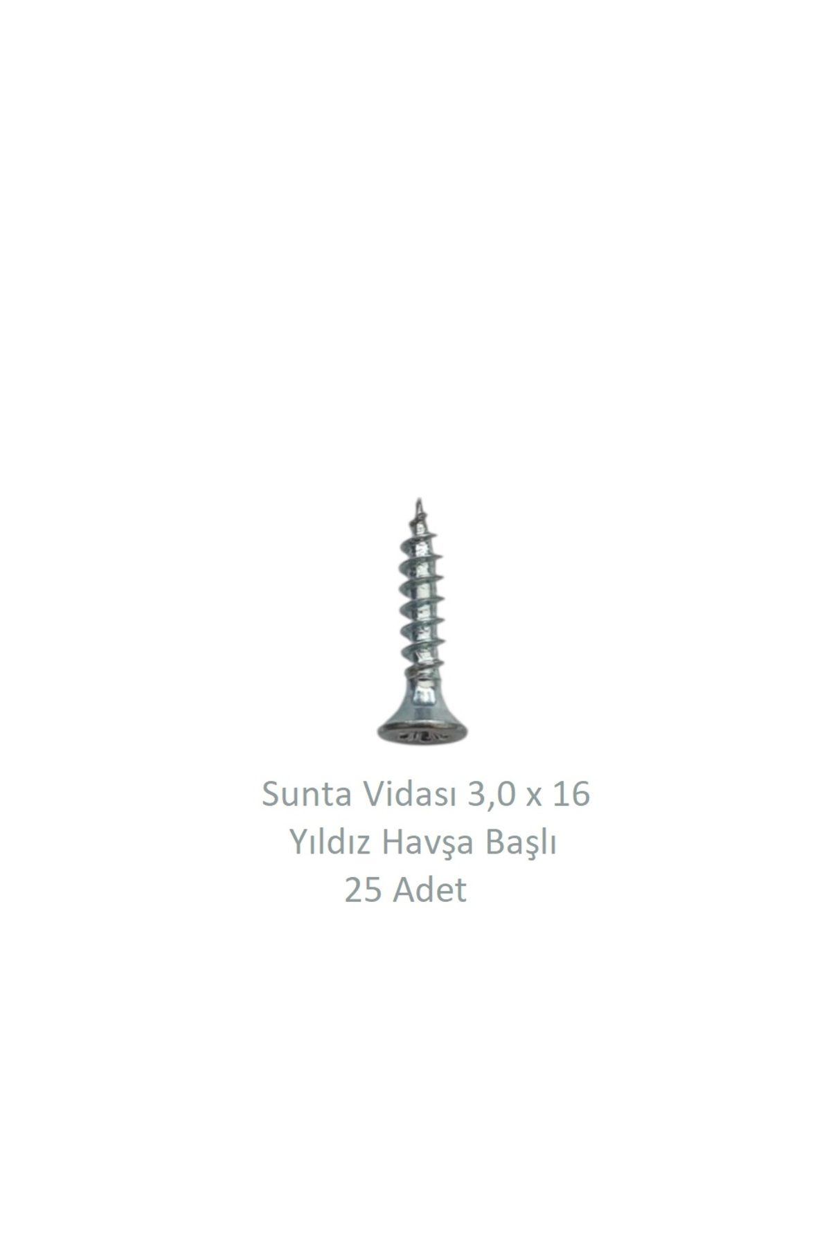 Adilon Sunta Vidası 3,0 x 16 mm 25 Adet YHB Vida