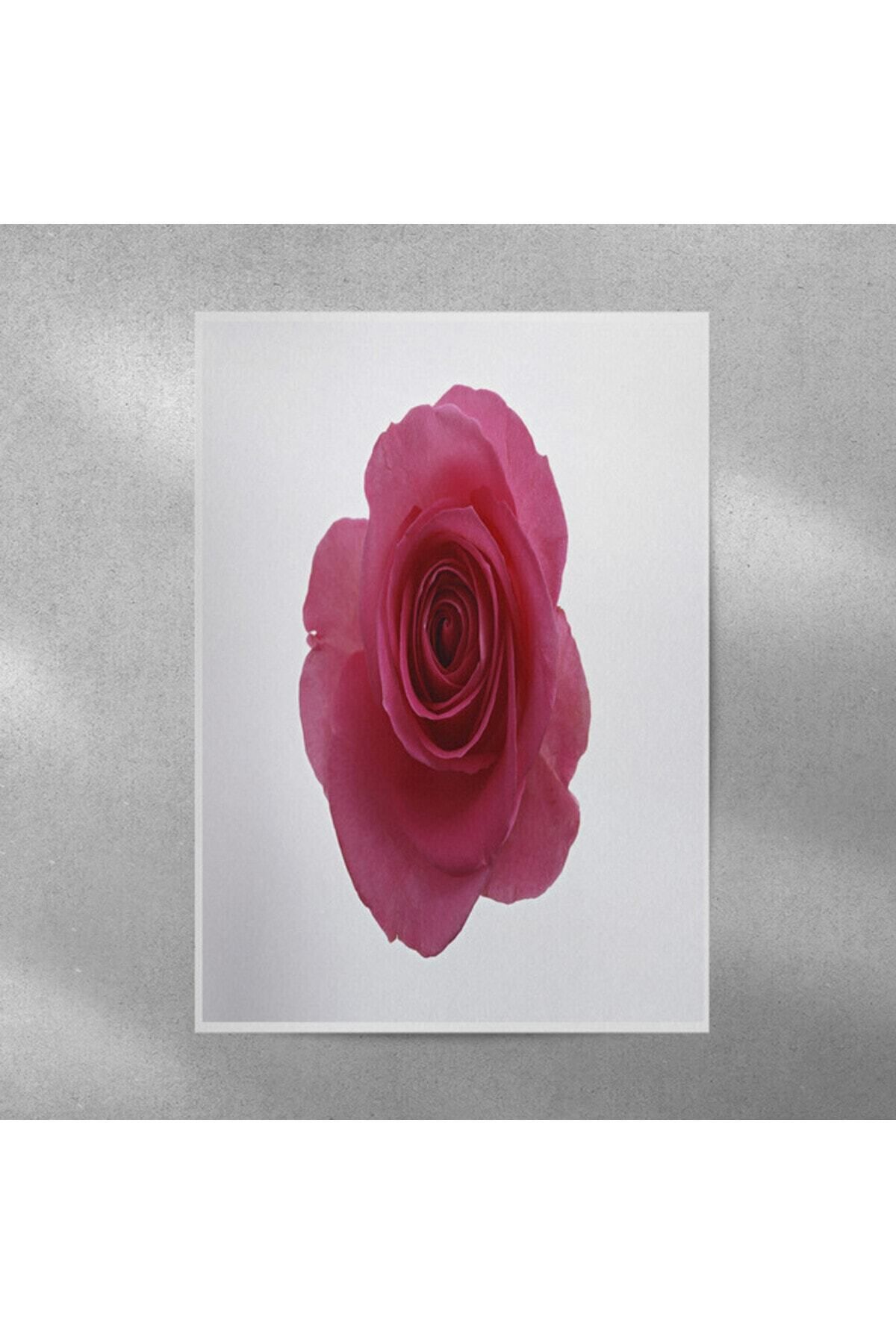 Elioure Rüya Gül Posteri 35x50 cm, güzel dekoratif duvar süsü