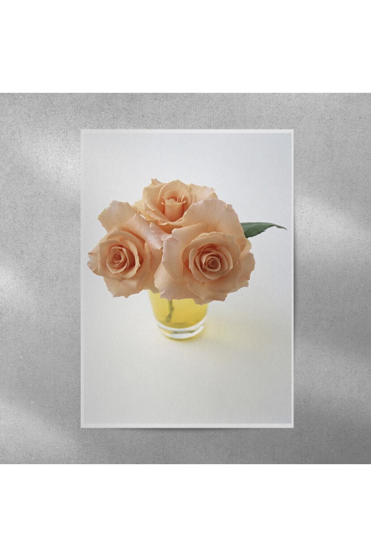 Elioure Gül Temalı Duvar Posteri 35x50 cm, Şık ve Renkli Dekorasyon Parçası