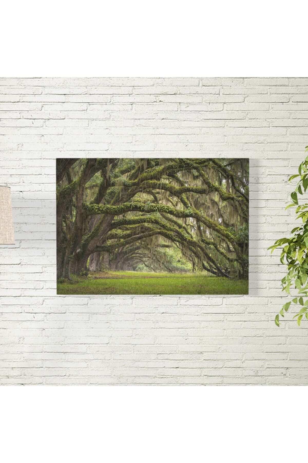 Elioure Doğa Temalı 35x50 cm Posteri, Şık ve Renkli Dekoratif Çerçevesiz Tasarım