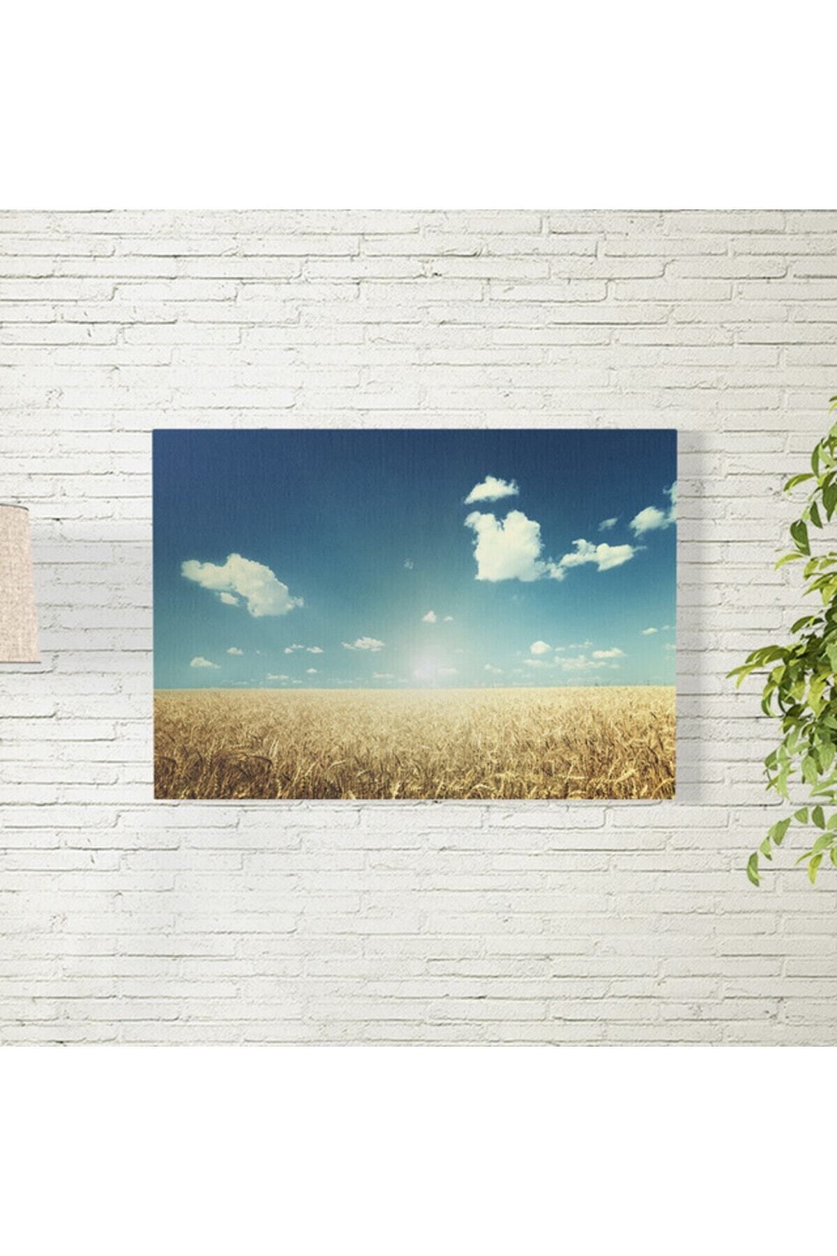 Elioure Doğa Temalı 35x50 cm Poster: Buğday Tarlası ve Gökyüzü Görüntüsü