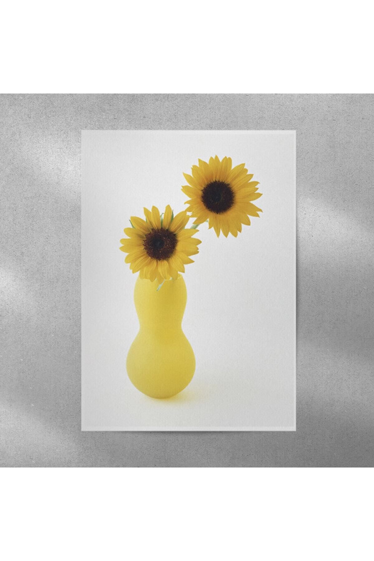 Elioure Renkli Ay Çiçeği Posteri 35x50 cm, doğal ve şık dekorasyon seçeneği