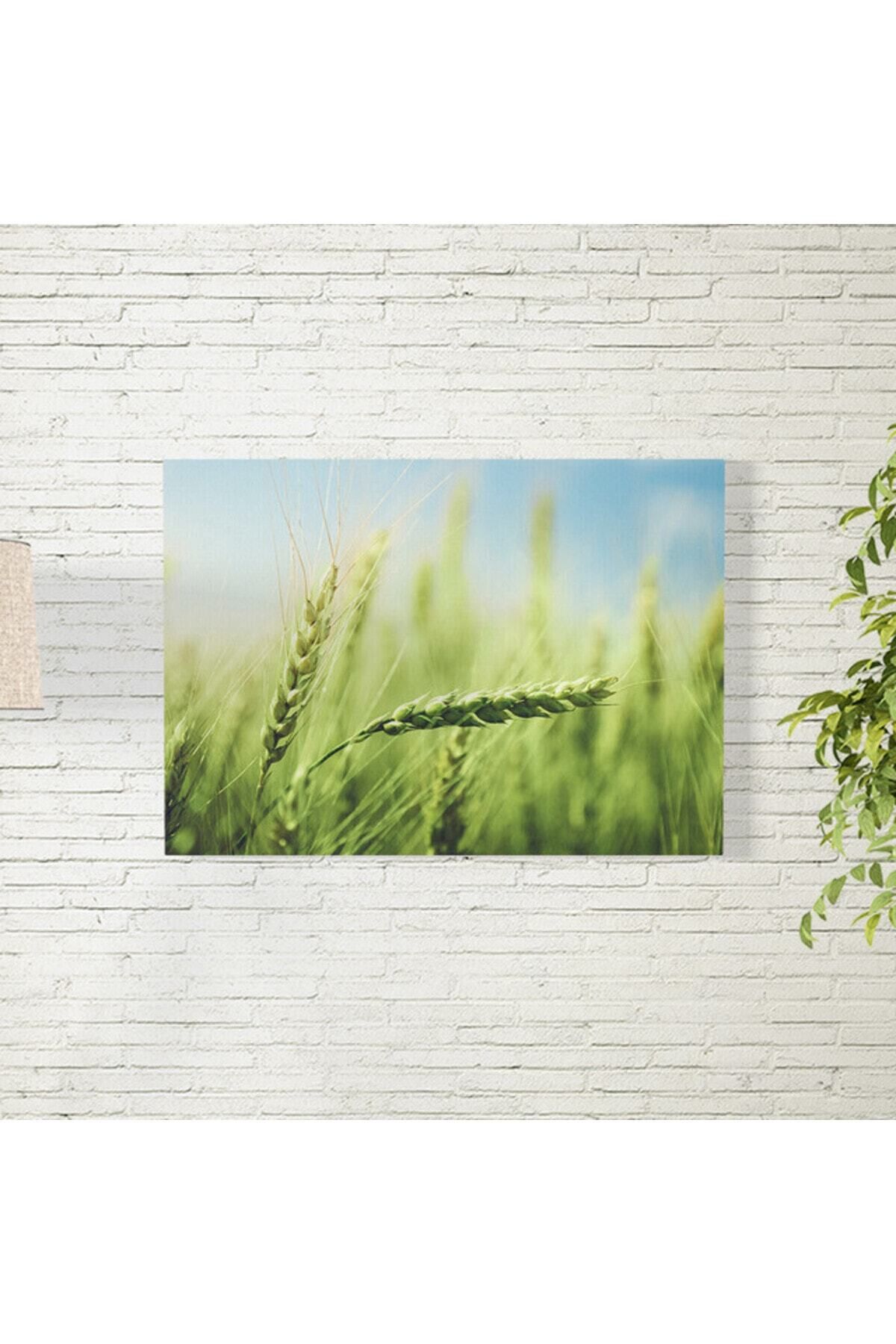 Elioure Yeşil Buğday Temalı 35x50 cm Duvar Posteri, doğal ve şık dekorasyon ürünü