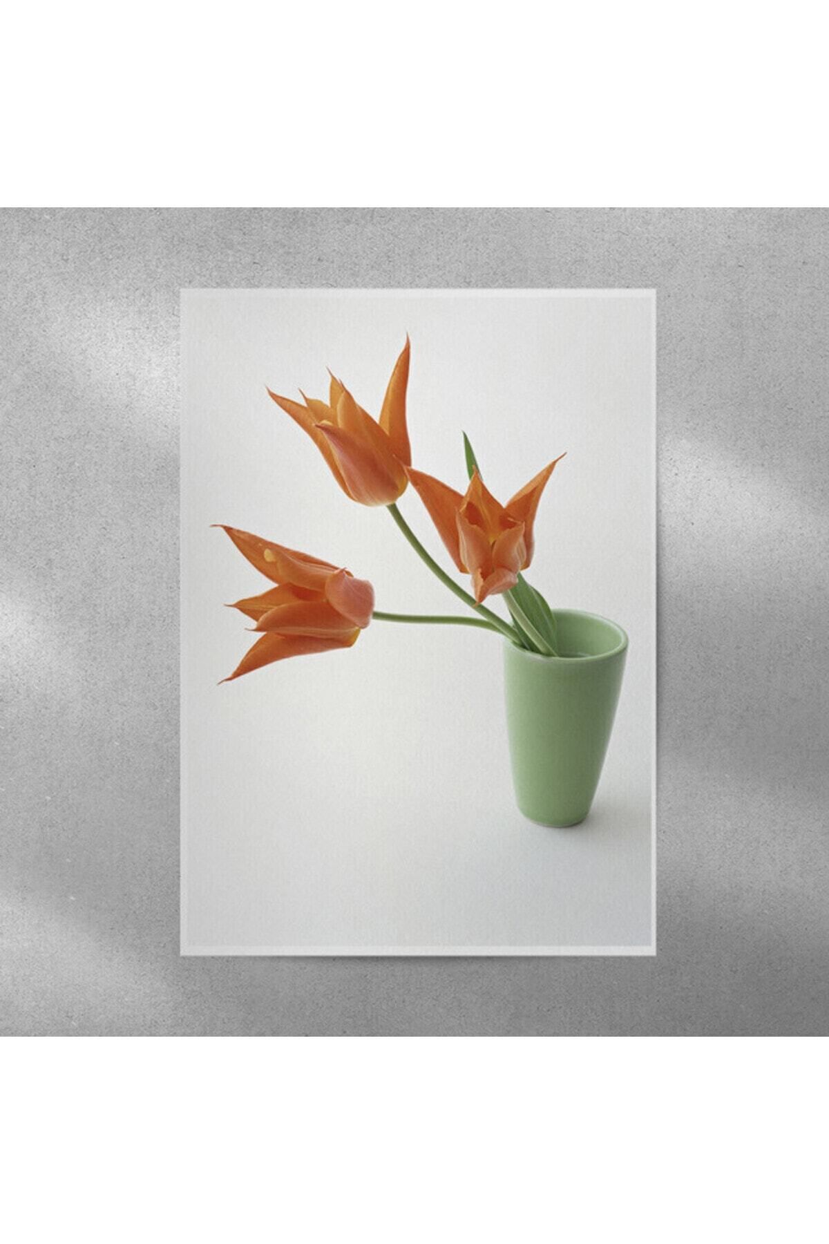 Elioure 35x50 cm Saksıda Lale Temalı Çerçevesiz Poster