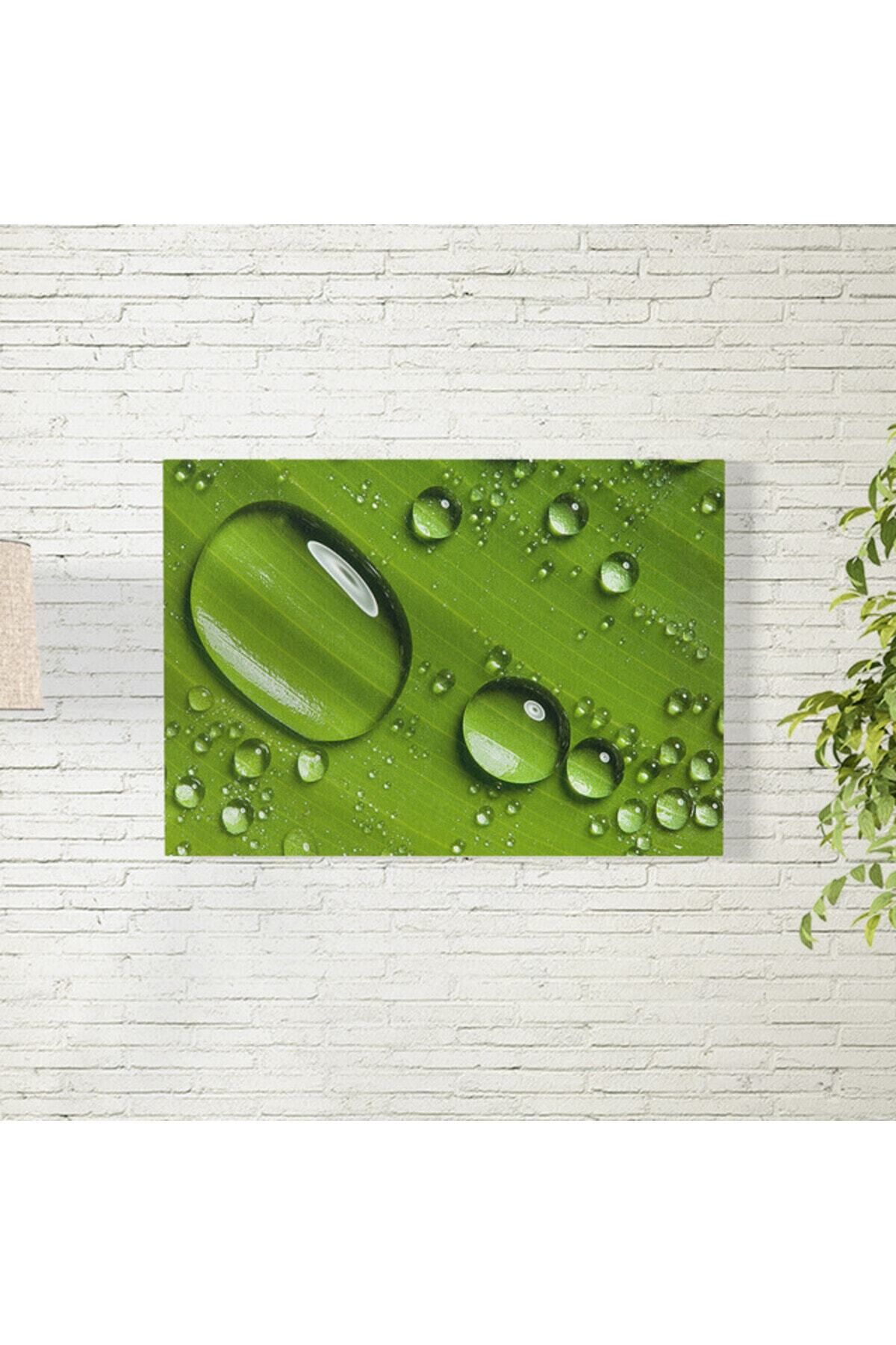 Elioure Su Damlacıkları Temalı Poster 35x50 cm, Şık ve Dekoratif Duvar Süsü