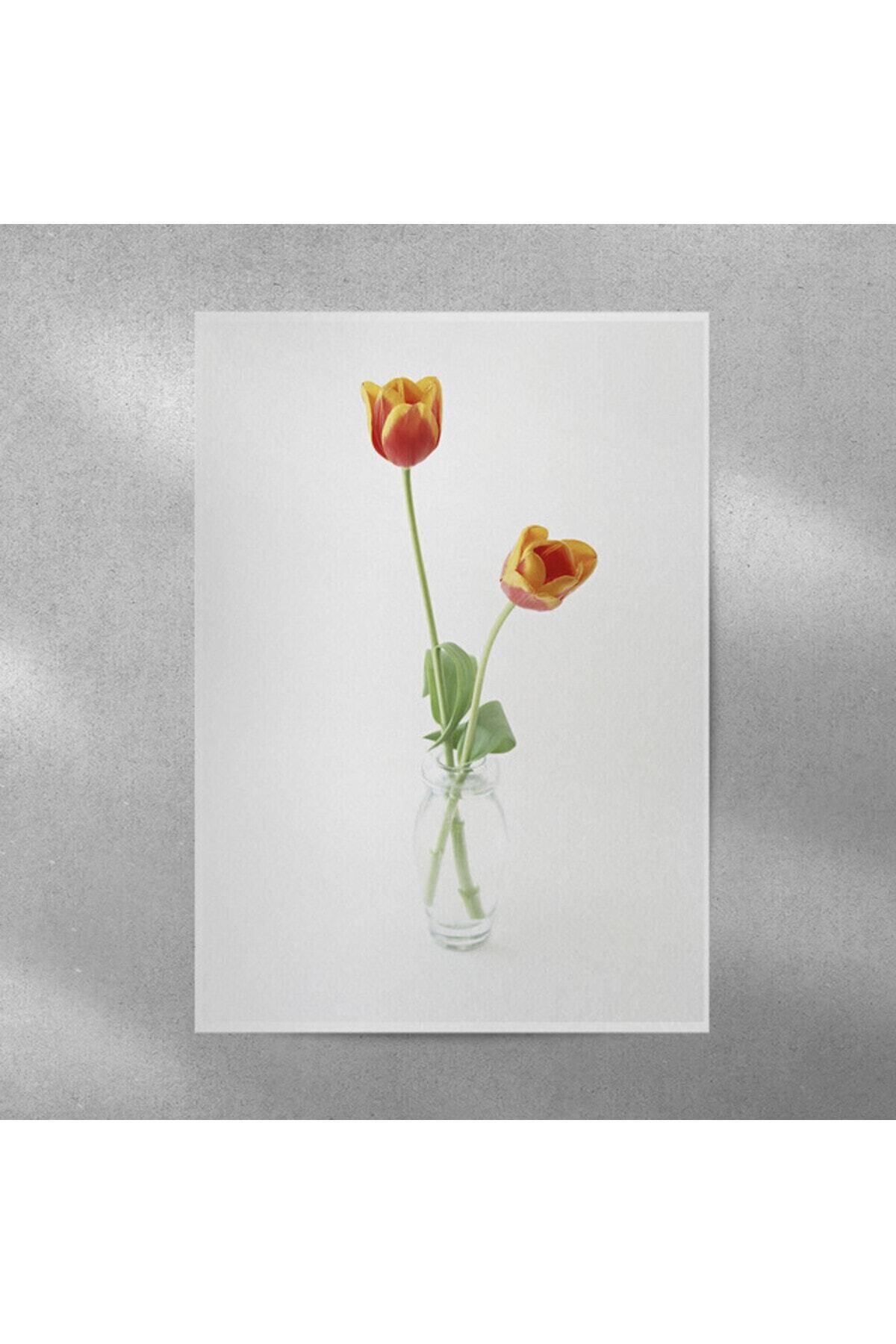 Elioure Canlı Lale Poster 35x50 cm, Dekoratif Çiçek Tablosu