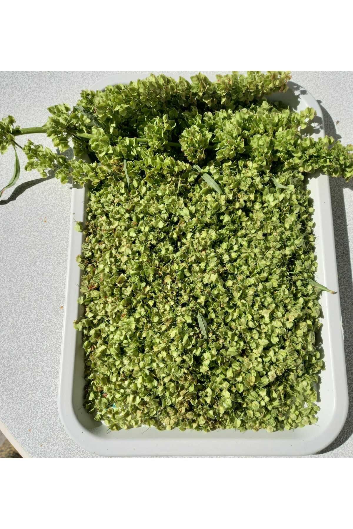 yöresel Evelik(Labada)Tohumu.500 gr