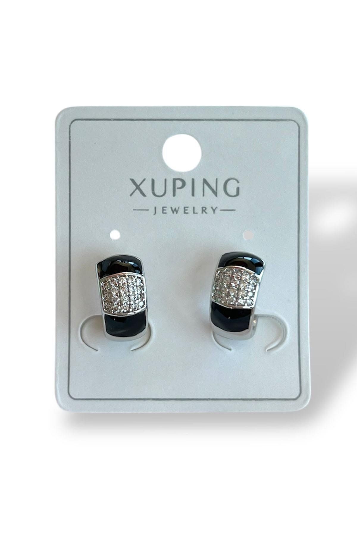 TAKIŞTIR Gümüş Renk Taş Detaylı Çelik Xuping Küpe (Çift)
