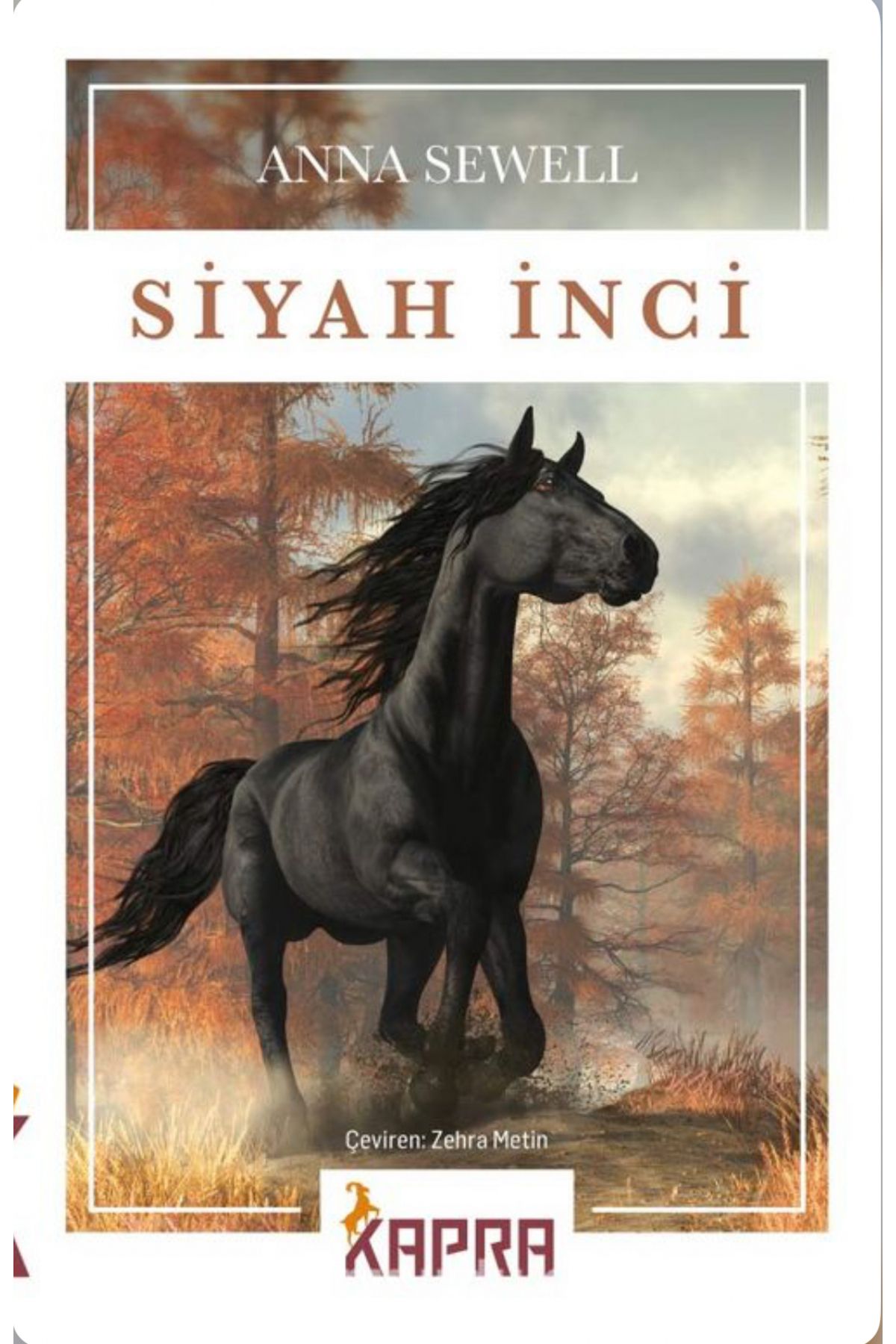 Kapra Yayıncılık Siyah İnci