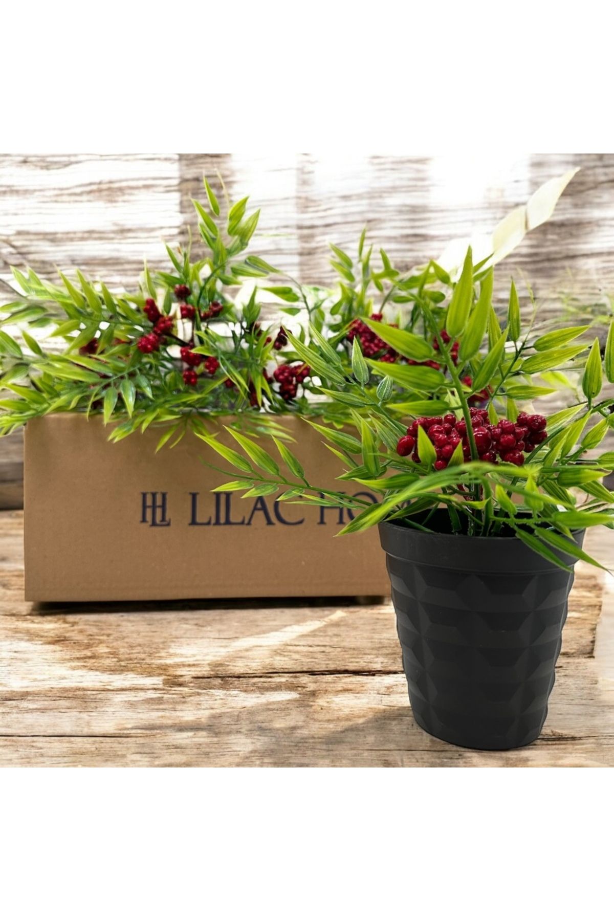 Lilac Home Yapay Çiçek Siyah Saksı İçerisinde Kokina Detaylı Ruscus