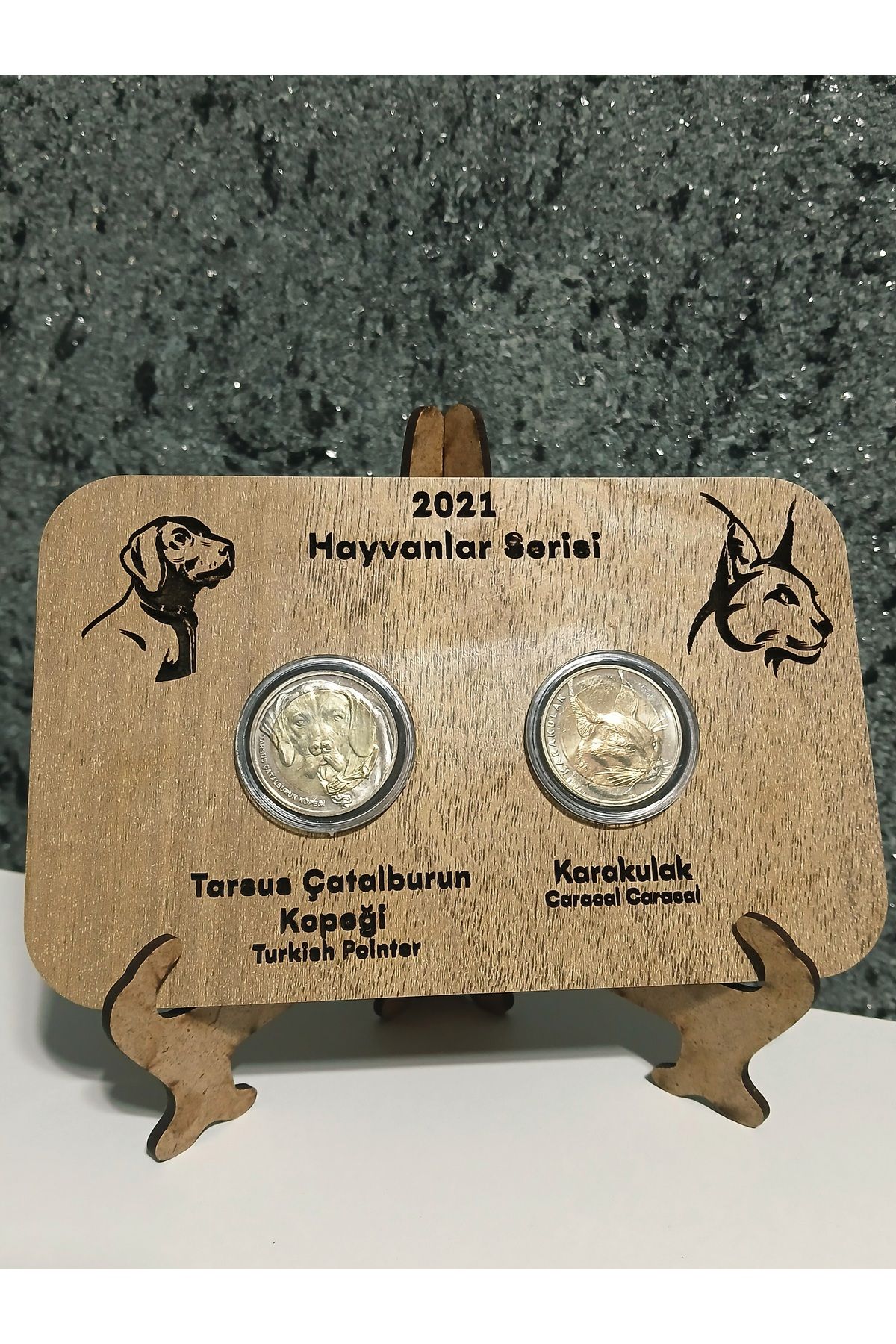 DÜZGÜN TİCARET Çatalburun Köpeği ve Karakulak Hatıra Para Bimetal Hayvanlar Özel Ahşap Standında
