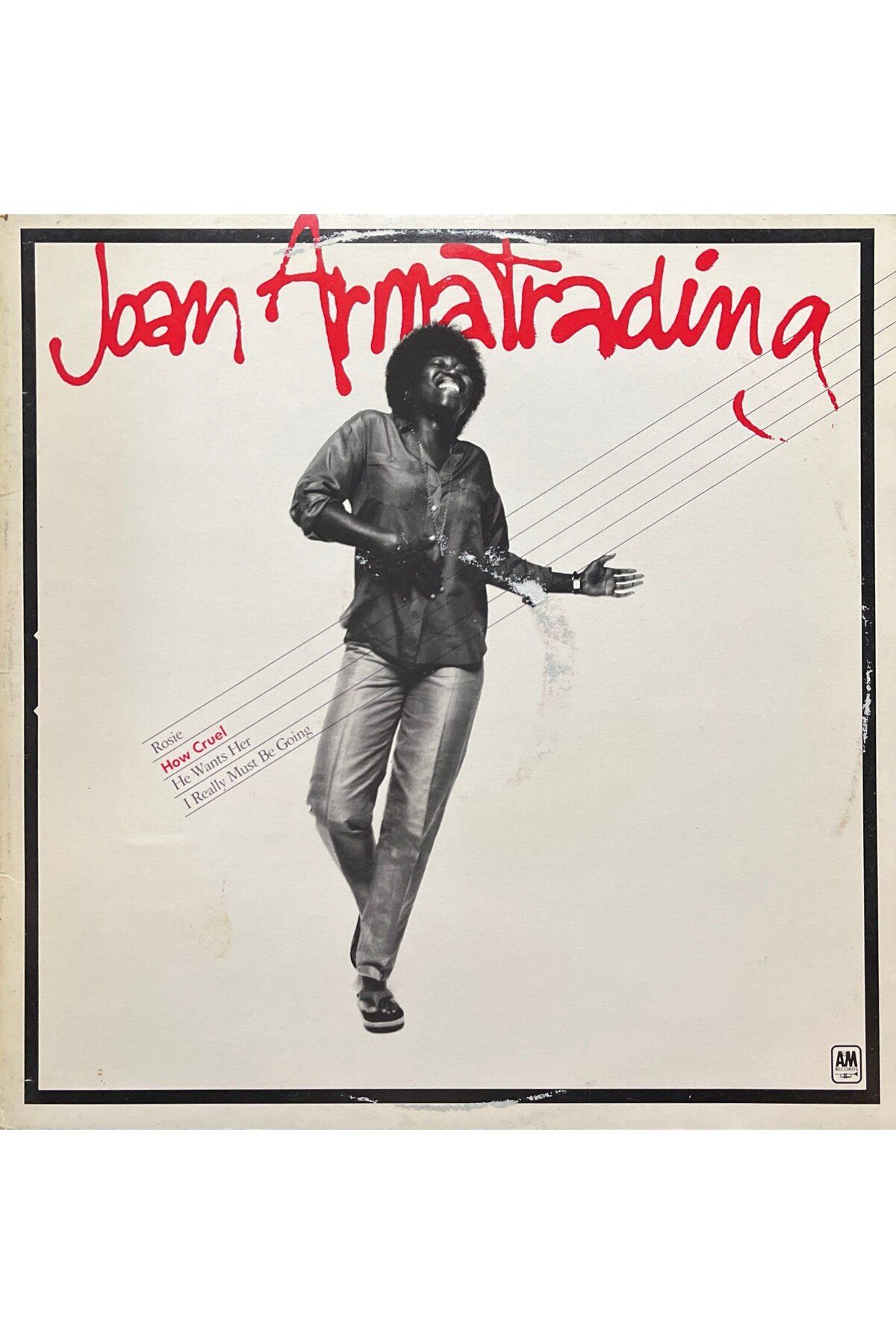 Plak İstasyonu Joan Armatrading How Cruel LP Plak