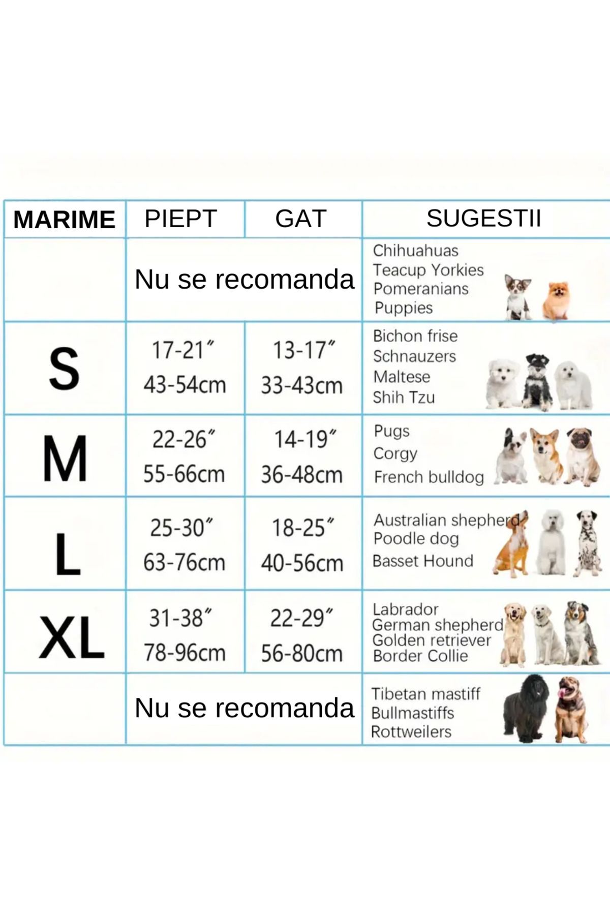 LUDORA-Dog Harness and Leash Set ®, Soft Lining, Breathable Material, Comfortable 4