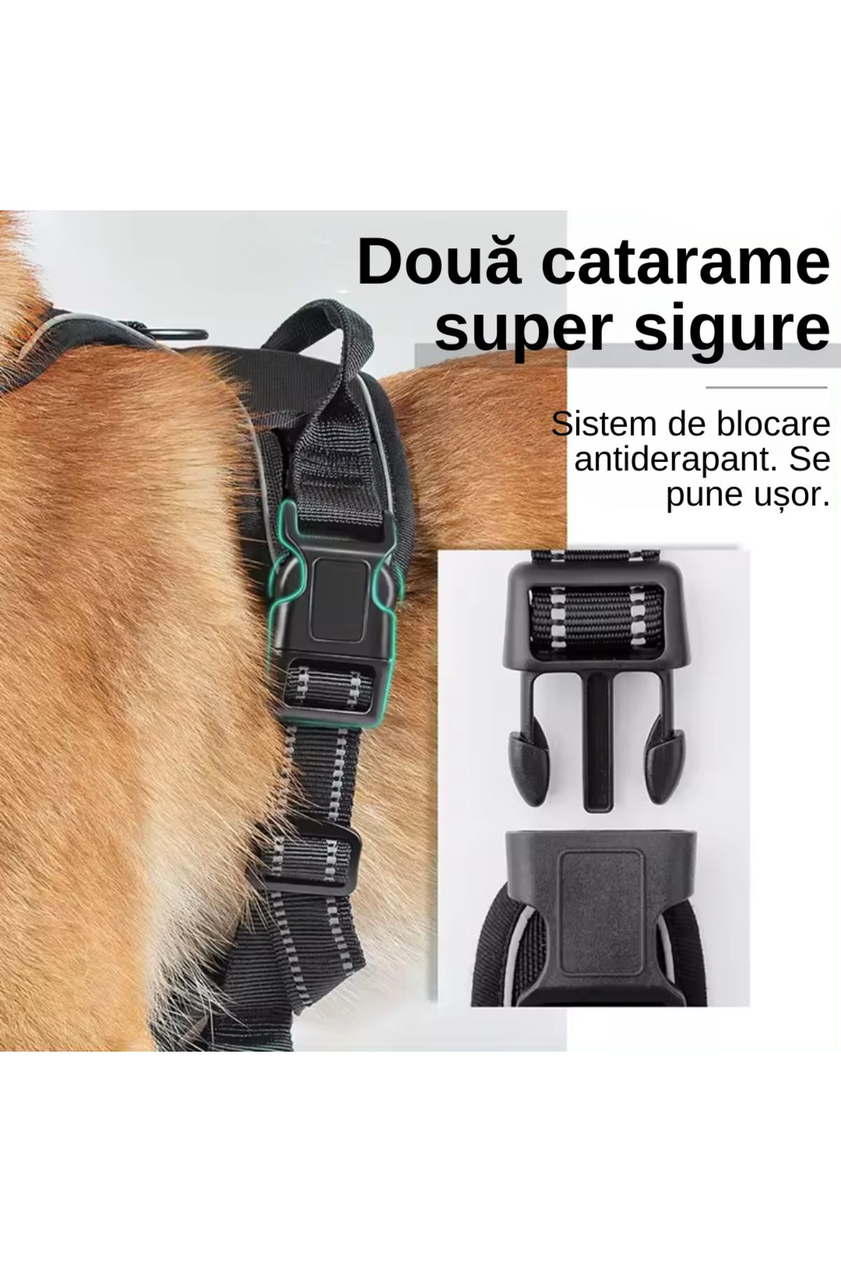LUDORA-Dog Harness and Leash Set ®, Soft Lining, Breathable Material, Comfortable 6