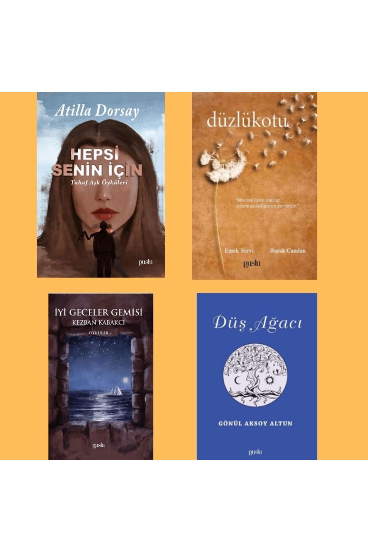 Puslu Yayıncılık Türk Edebiyat Hikayeler 4 Kitap