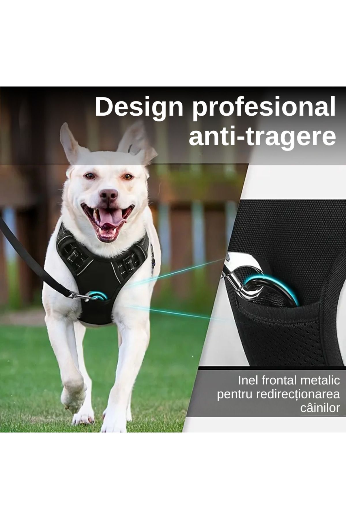 LUDORA-Dog Harness and Leash Set ®, Soft Lining, Breathable Material, Comfortable 9