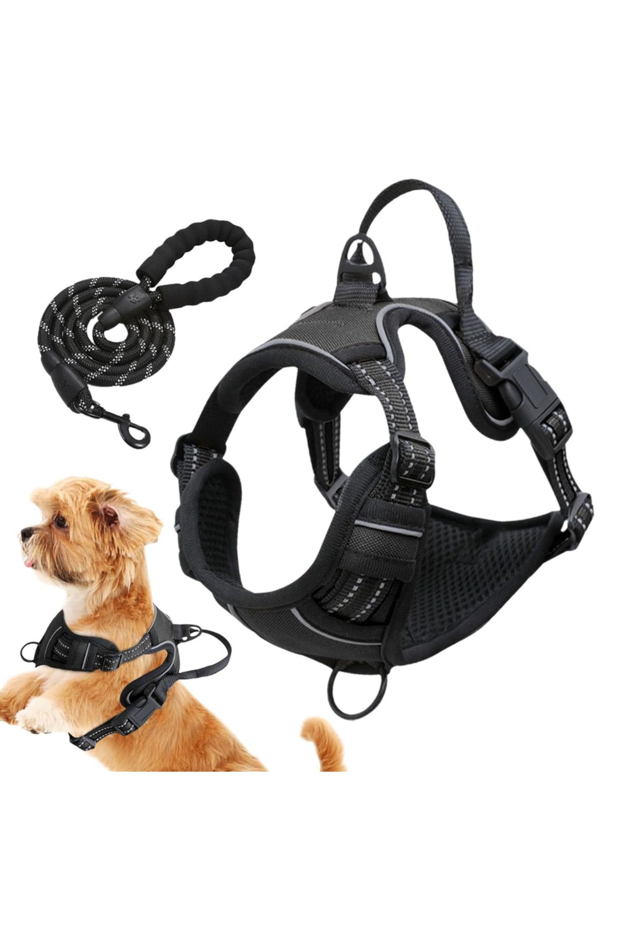 LUDORA-Dog Harness and Leash Set ®, Soft Lining, Breathable Material, Comfortable 3