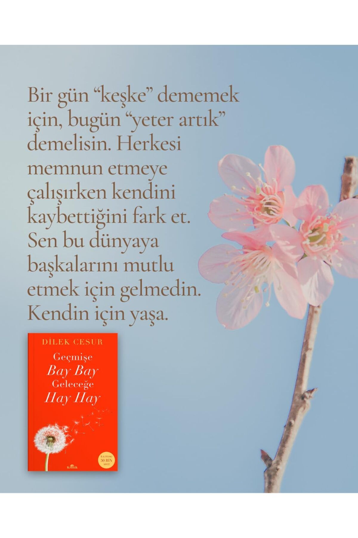 Bloomsbury-Bay Bay to the Past, Hay Hay to the Future - Wish Brave 3