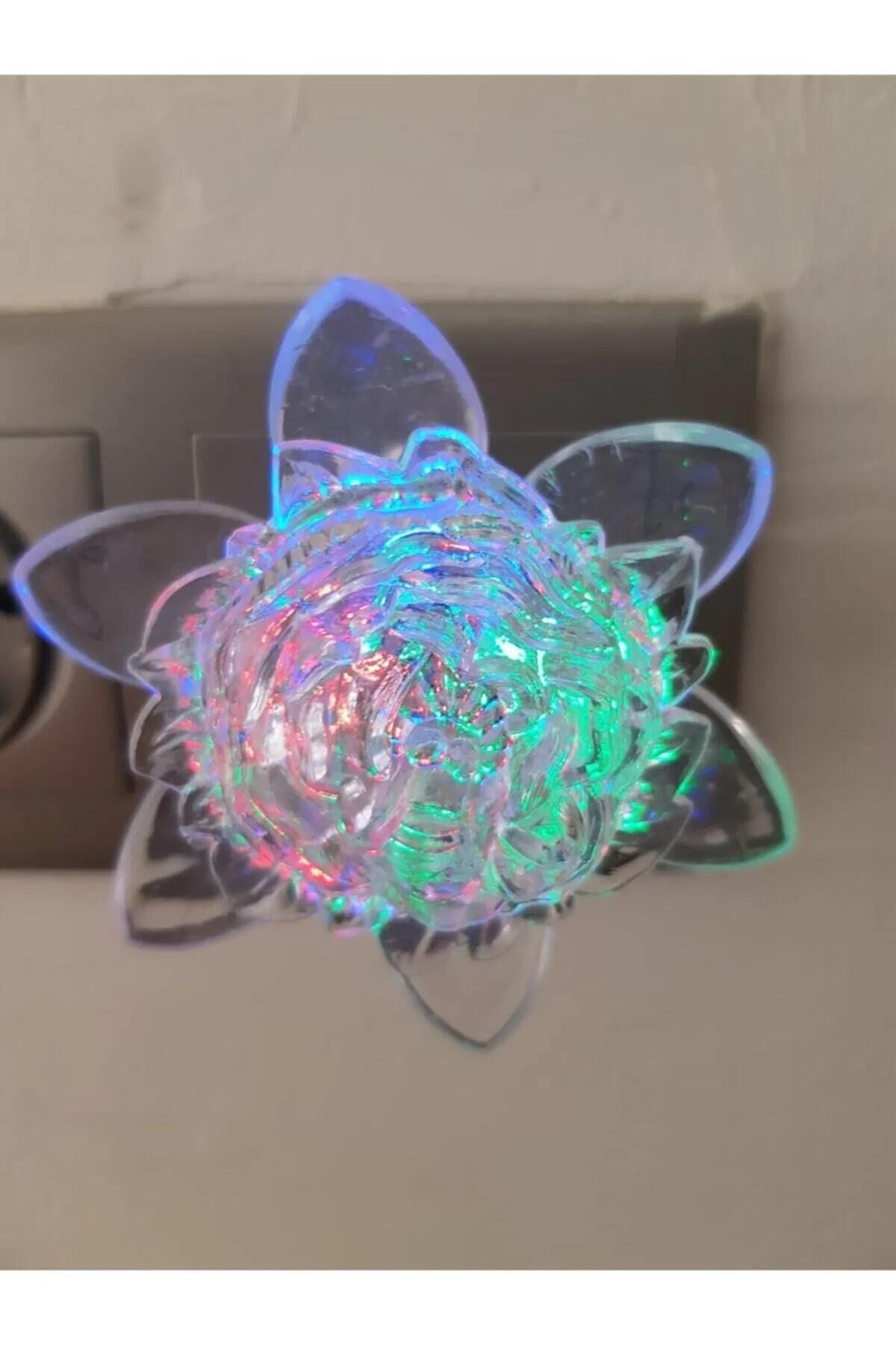 DEPPOSITE Gül Figürlü Renkli Rgb Fişli Dekoratif Gece Lambası Çocuk Odası Aydınlatma