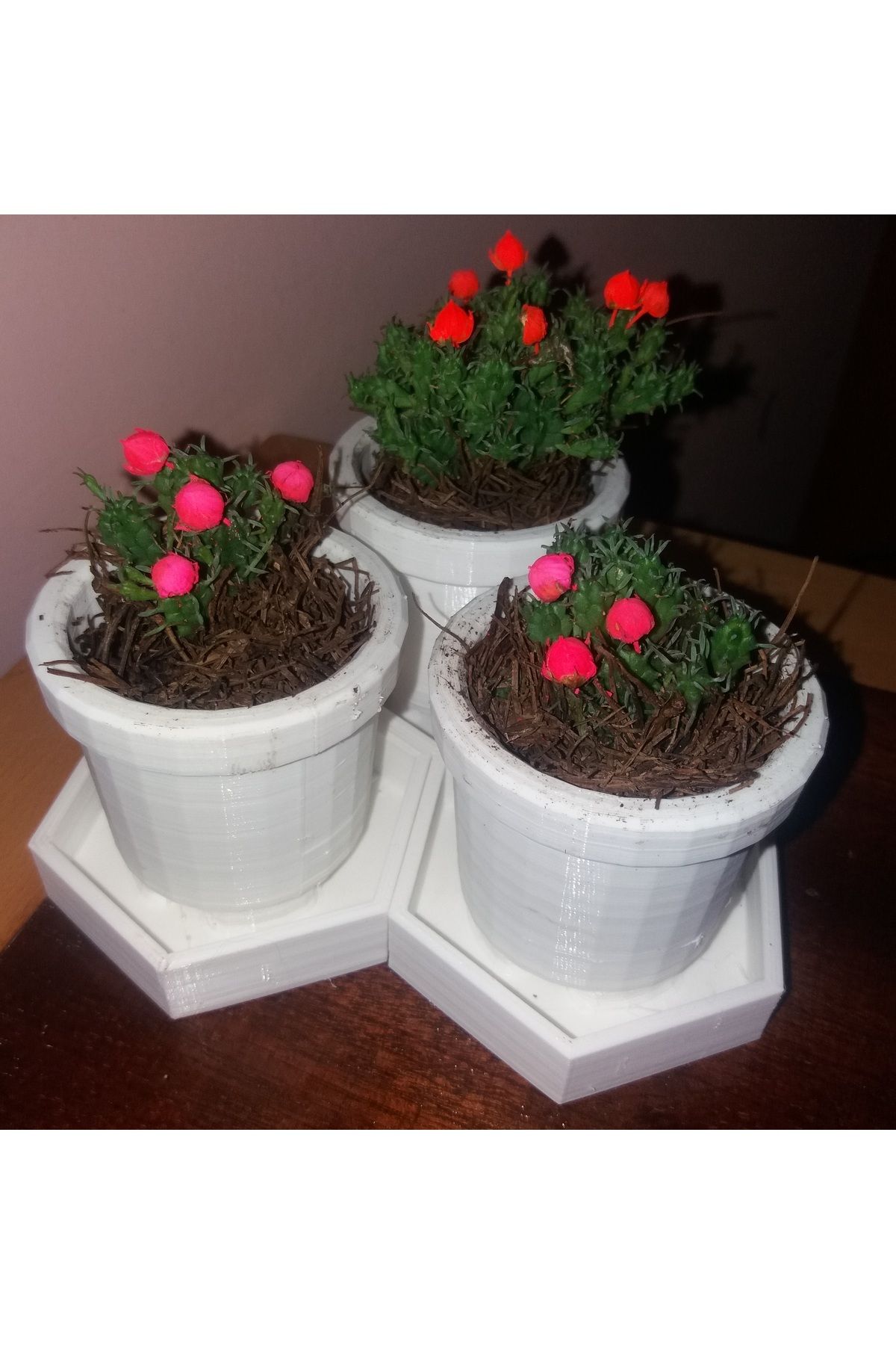 Vision Craft Altıgen tabanlı klasik bitki potu (petek tabanı)
