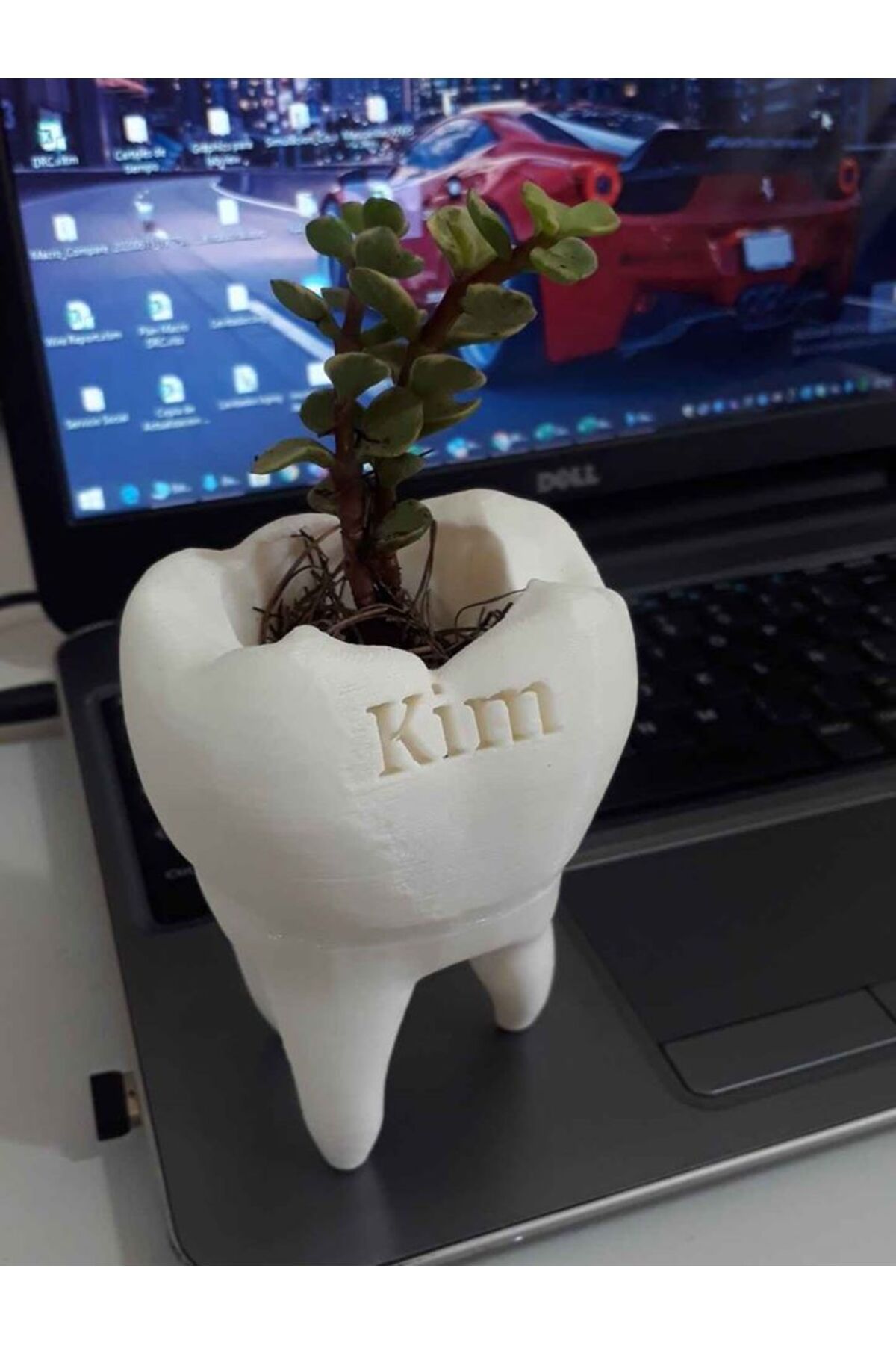 Vision Craft Özelleştirmek için Muela Pot (Diş Potu)
