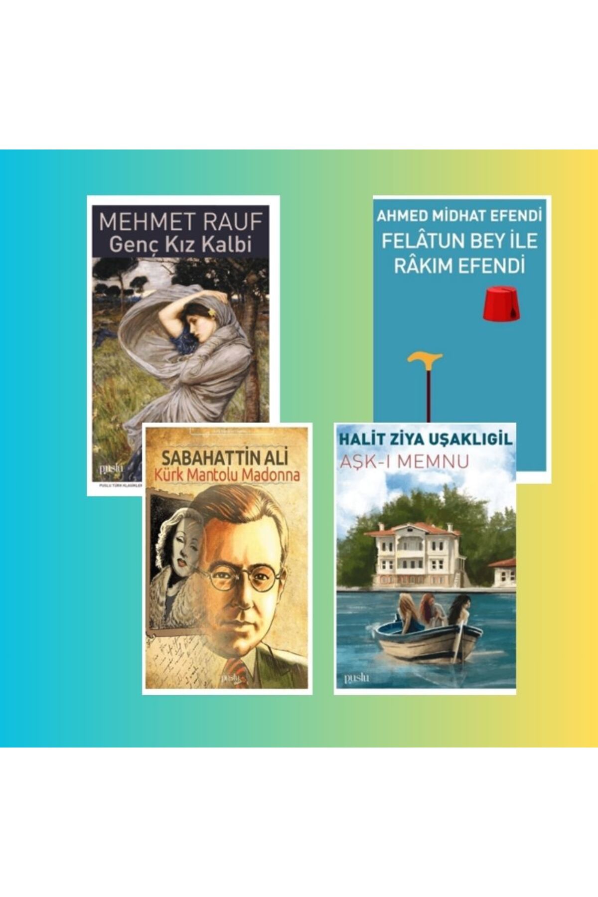 Puslu Yayıncılık Türk Edebiyatı Seti 2 (4Kitap)