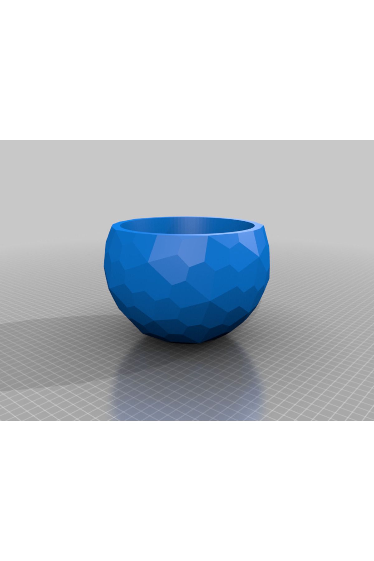 Vision Craft Geometrik bitki tenceresi