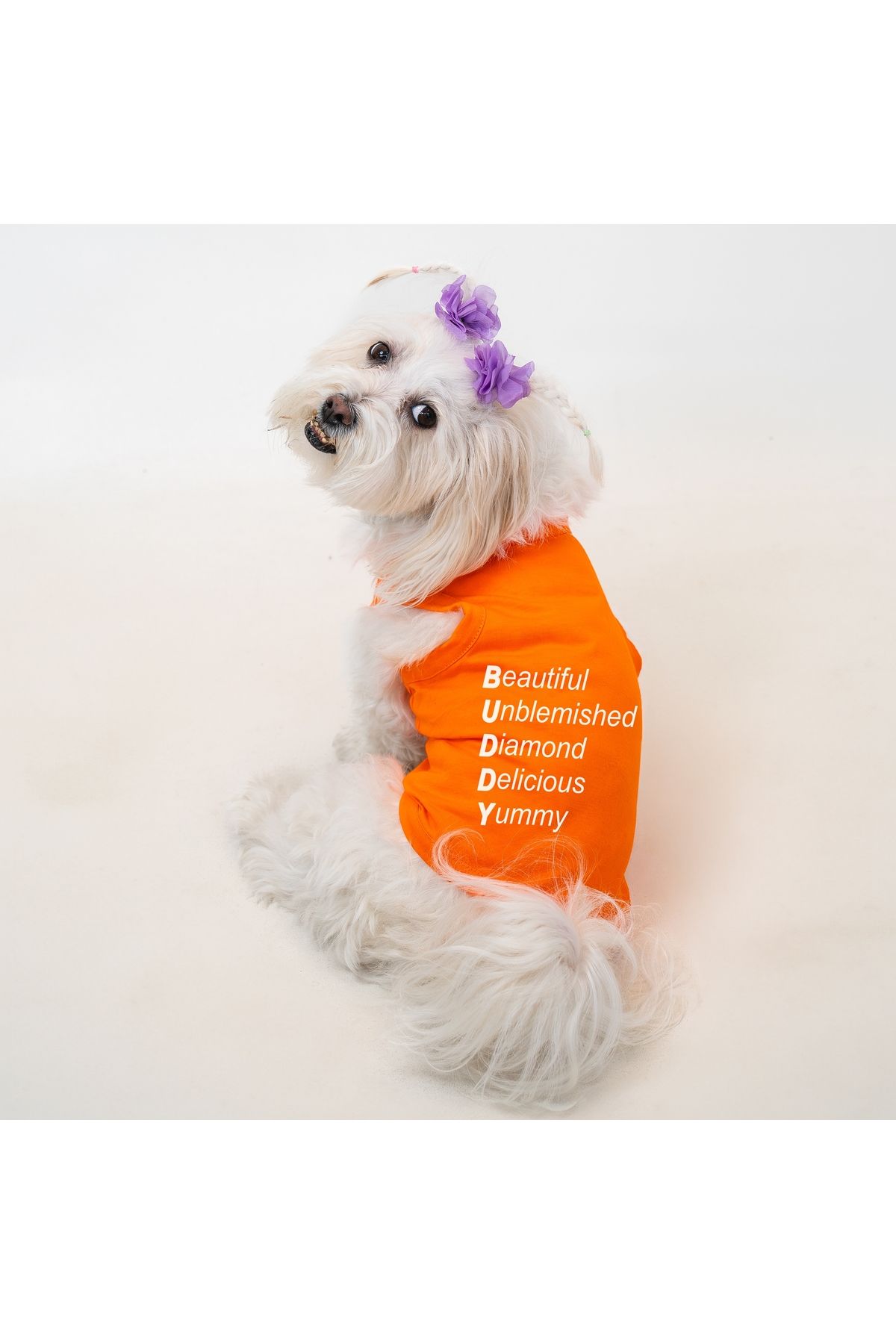 Buddy Store Kedi & Köpek Kıyafeti Giysileri Kıyafetleri - Akrostiş Baskılı Yazlık Atlet