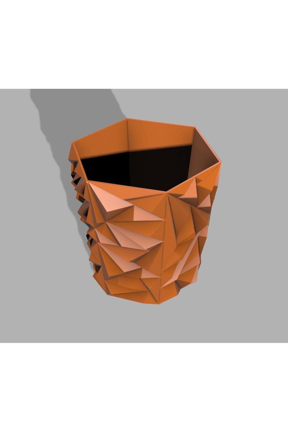 Vision Craft Geometrik bitki tenceresi