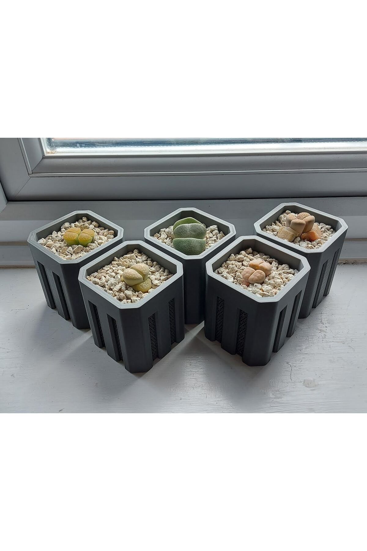 Vision Craft Lithops yapabilir