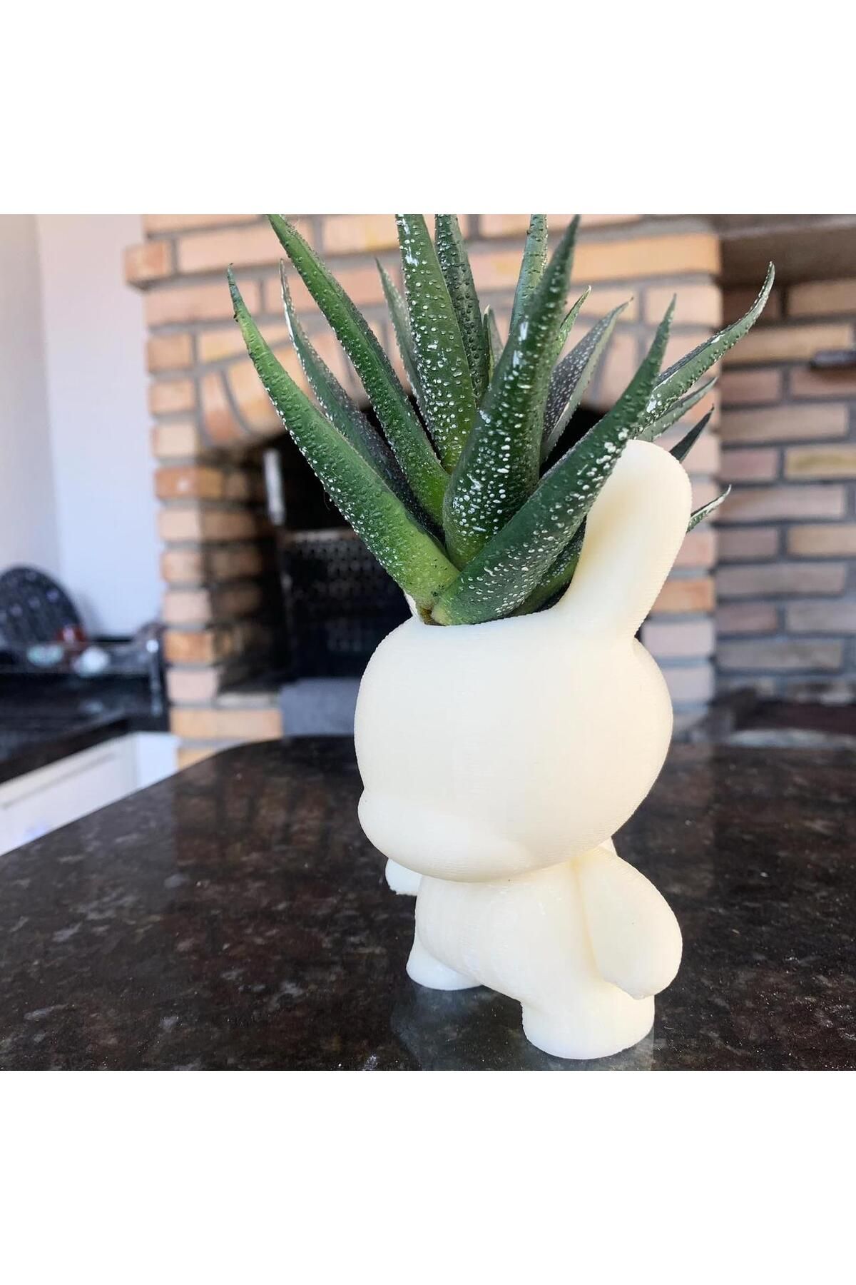 Vision Craft Dunny Pot
