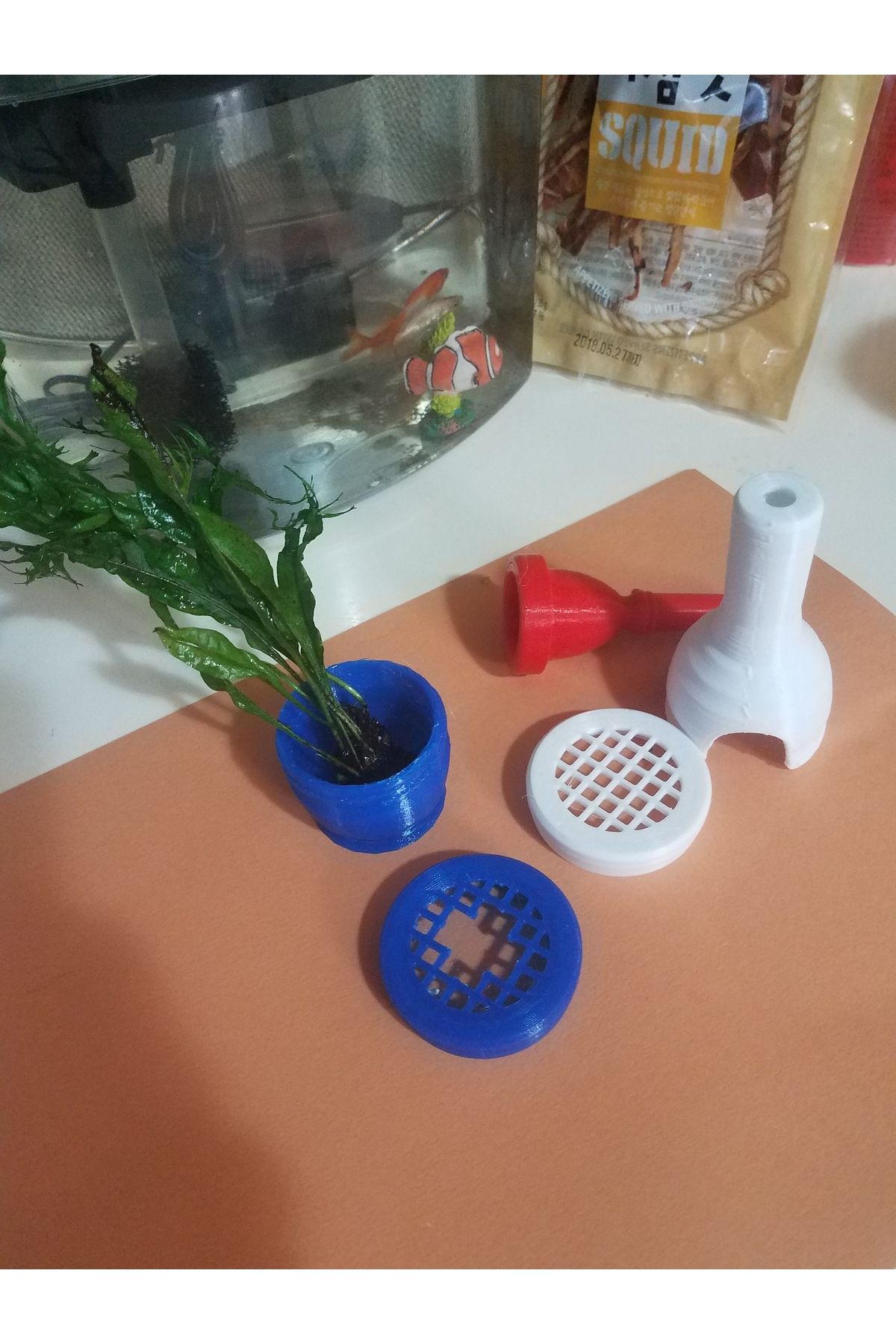 Vision Craft Balık kabı