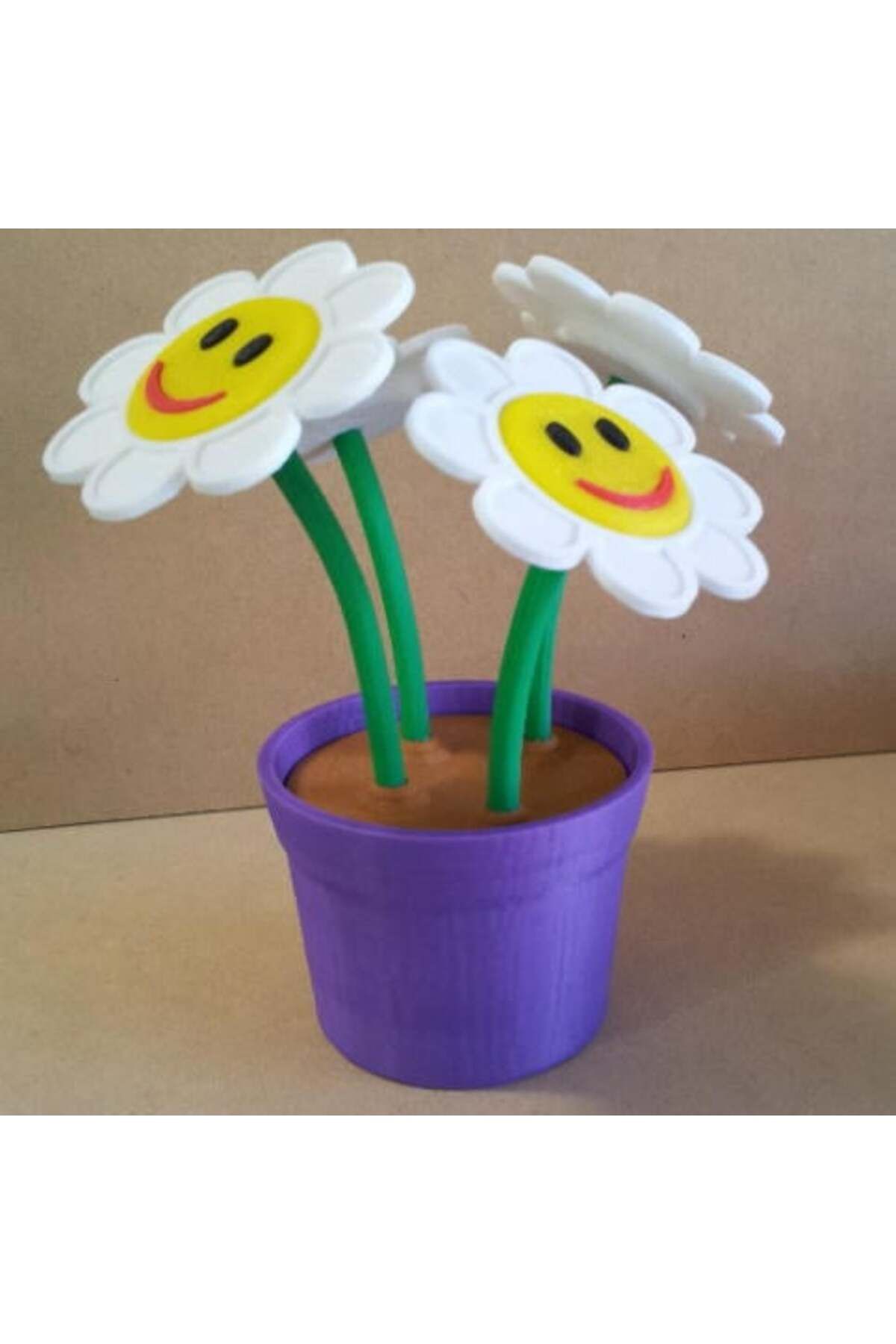Vision Craft Tencerede gülen çiçekler