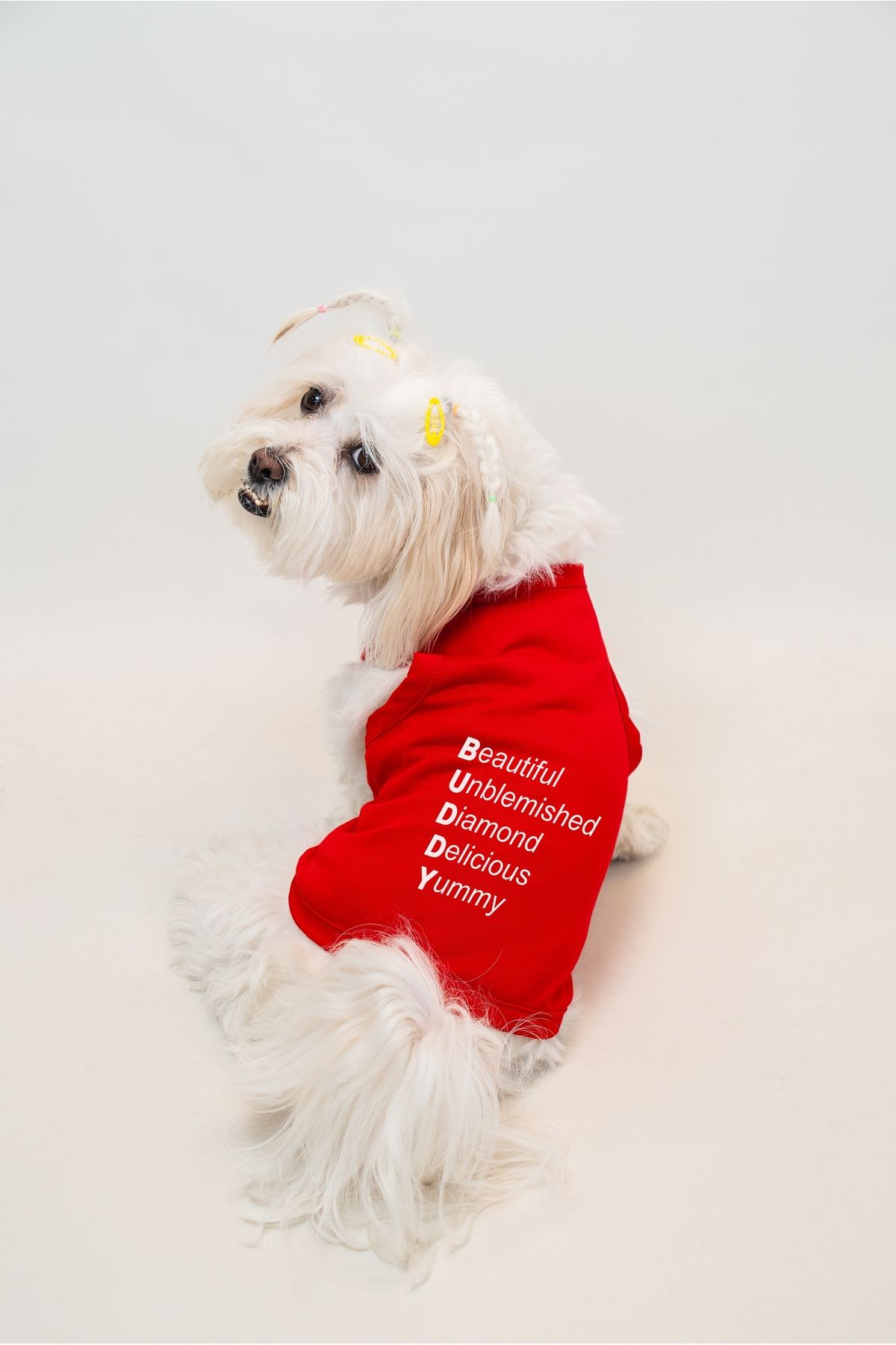 Buddy Store Kedi & Köpek Kıyafeti Giysileri Kıyafetleri - Akrostiş Baskılı Yazlık Atlet