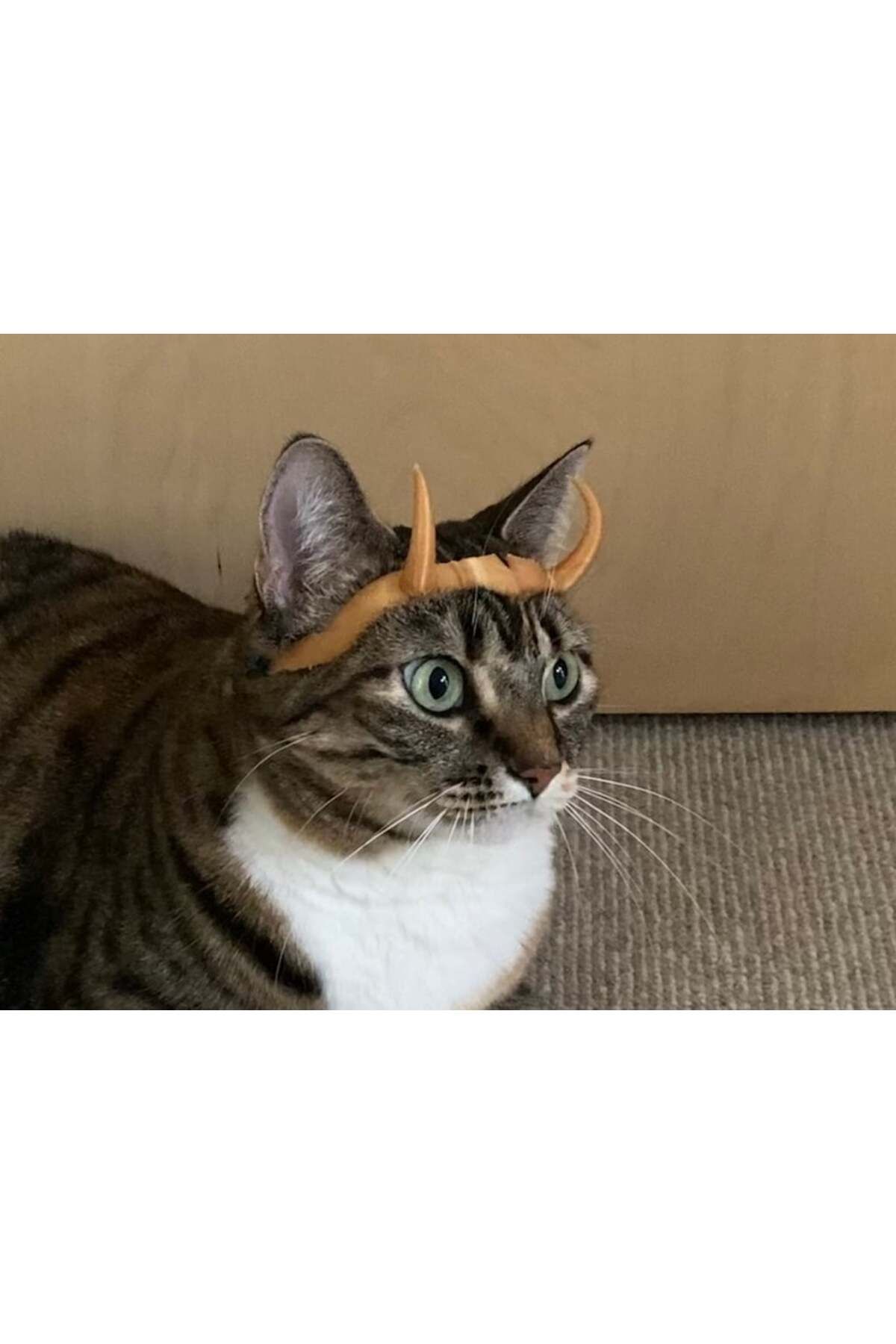 Lucest Loki/Sylvie tacı (Kedi versiyonu) (Plastik Aparattır!!!)