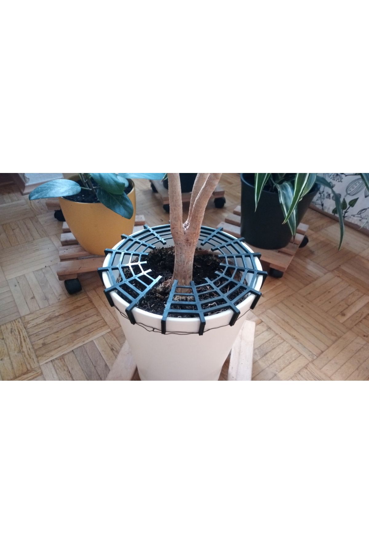 Lucest Saksı kedi koruması v2.0 (Plastik Aparattır!!!)