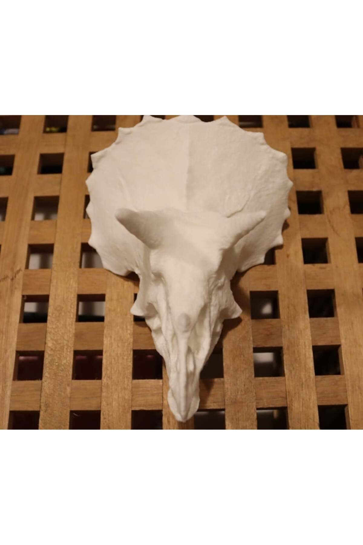 Lucest Triceratops Kafatası (Plastik Aparattır!!!)