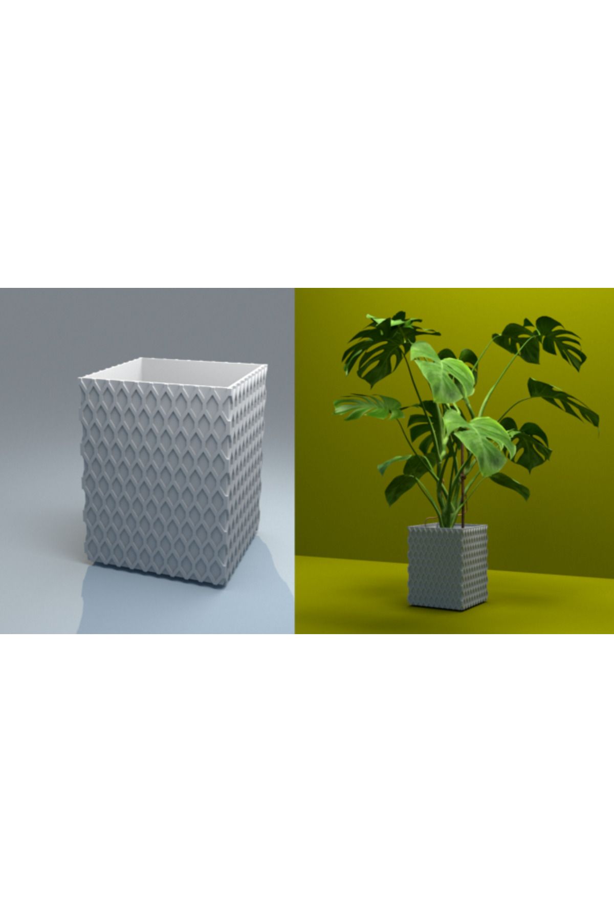 Vision Craft Kapsayıcı Monstray Pot