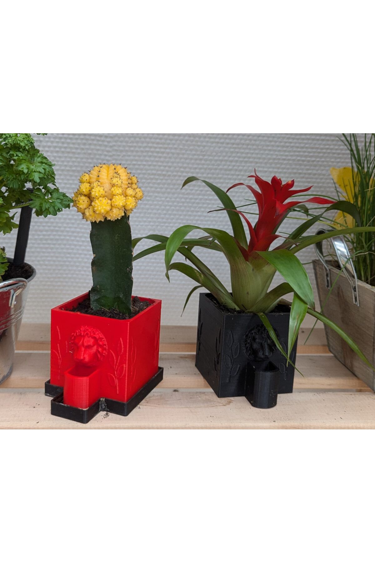 Vision Craft Bitki Potu Kendi Kendine Sulama - Flowerpot