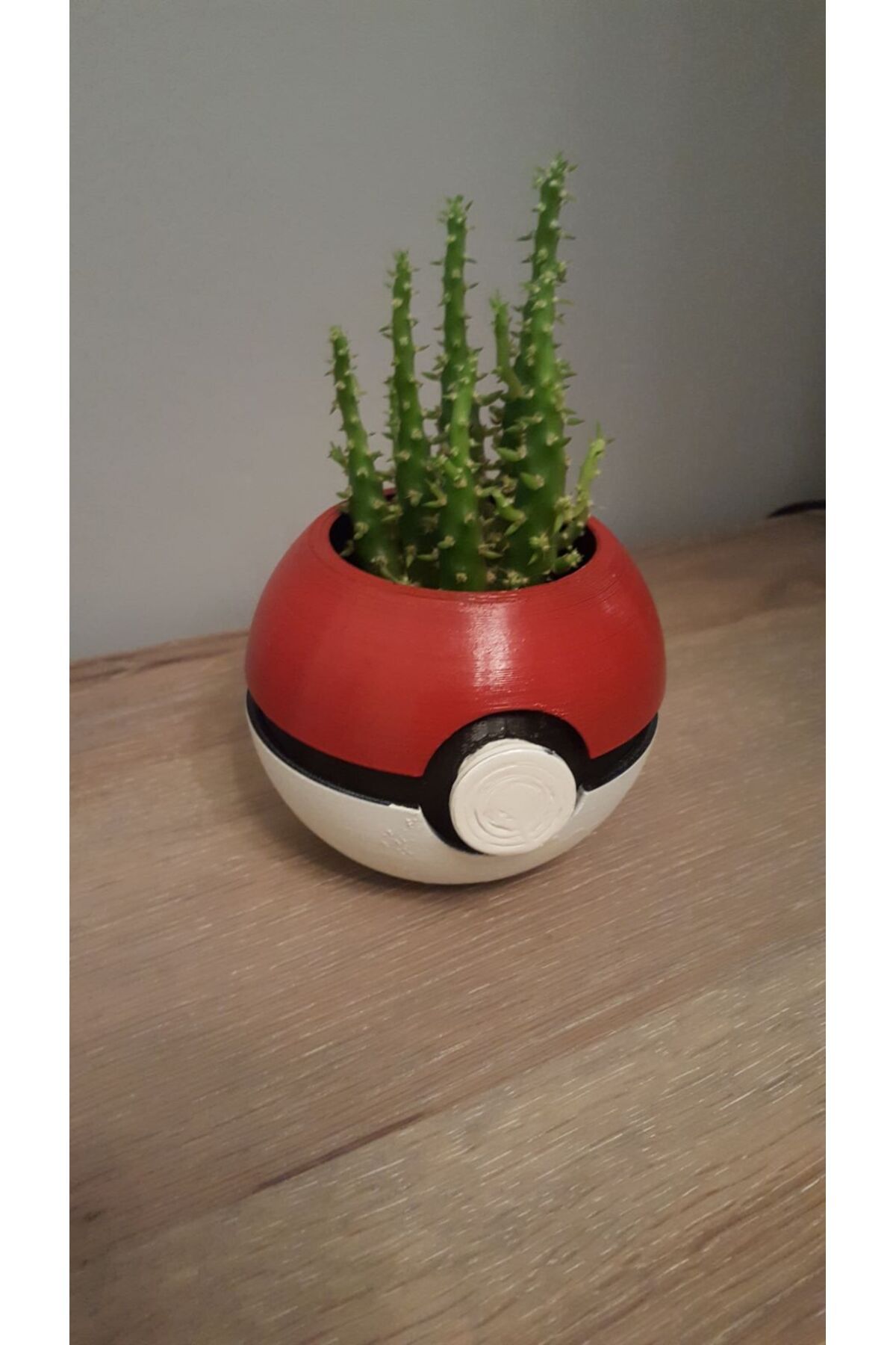 Vision Craft Pokeball Bitki Potu