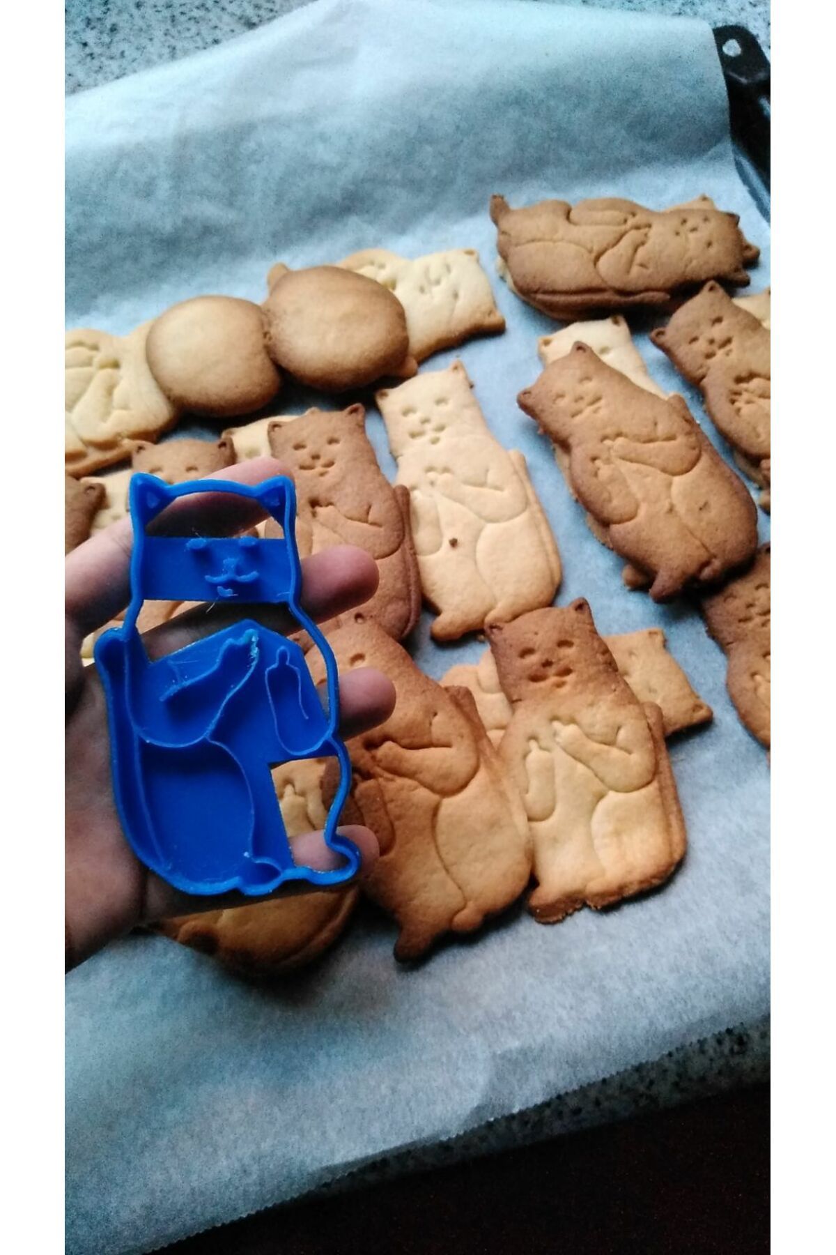 talaşoğlu Kedi kurabiye kesici